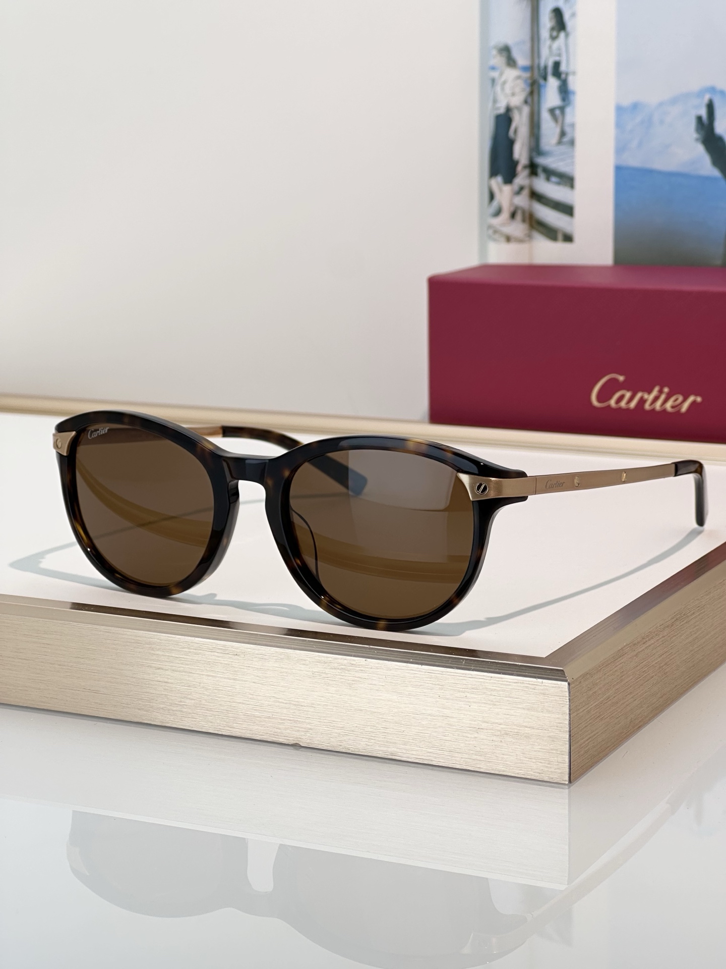 Designer Sunglasses CT0082OA