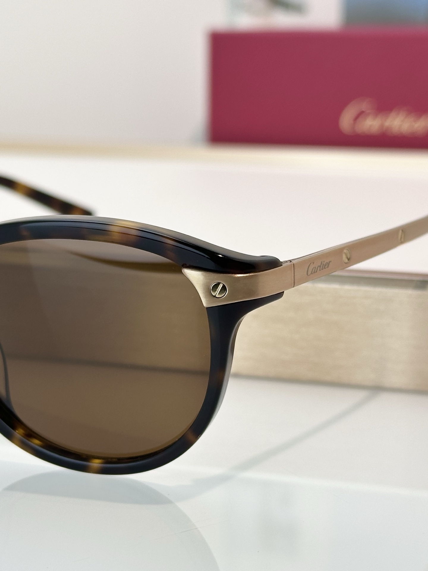 Designer Sunglasses CT0082OA