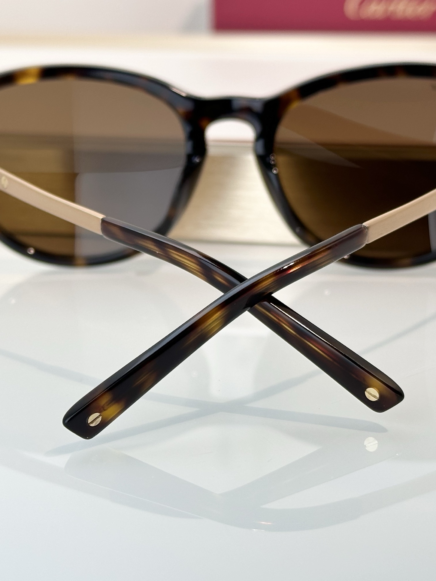Designer Sunglasses CT0082OA