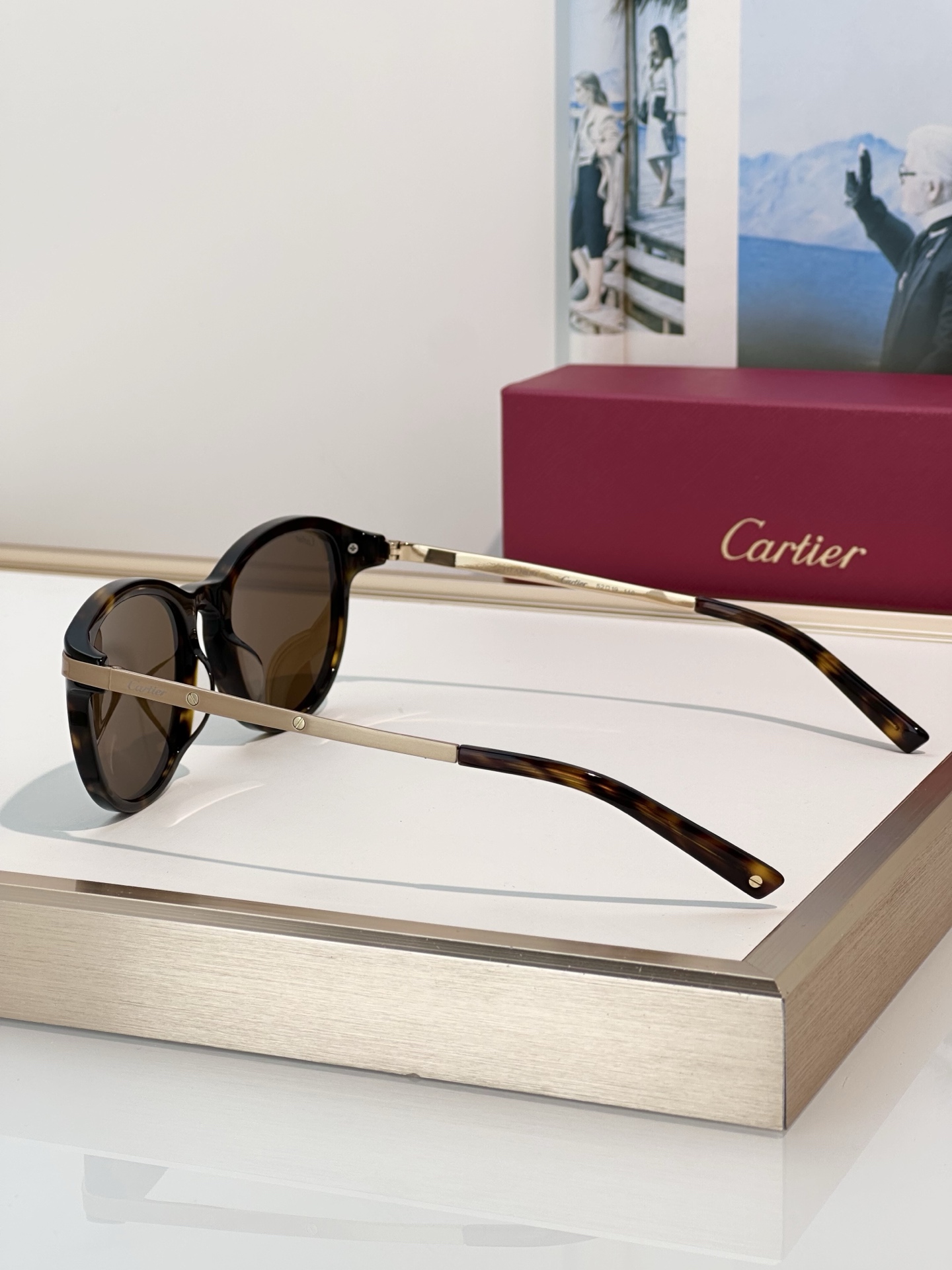 Designer Sunglasses CT0082OA