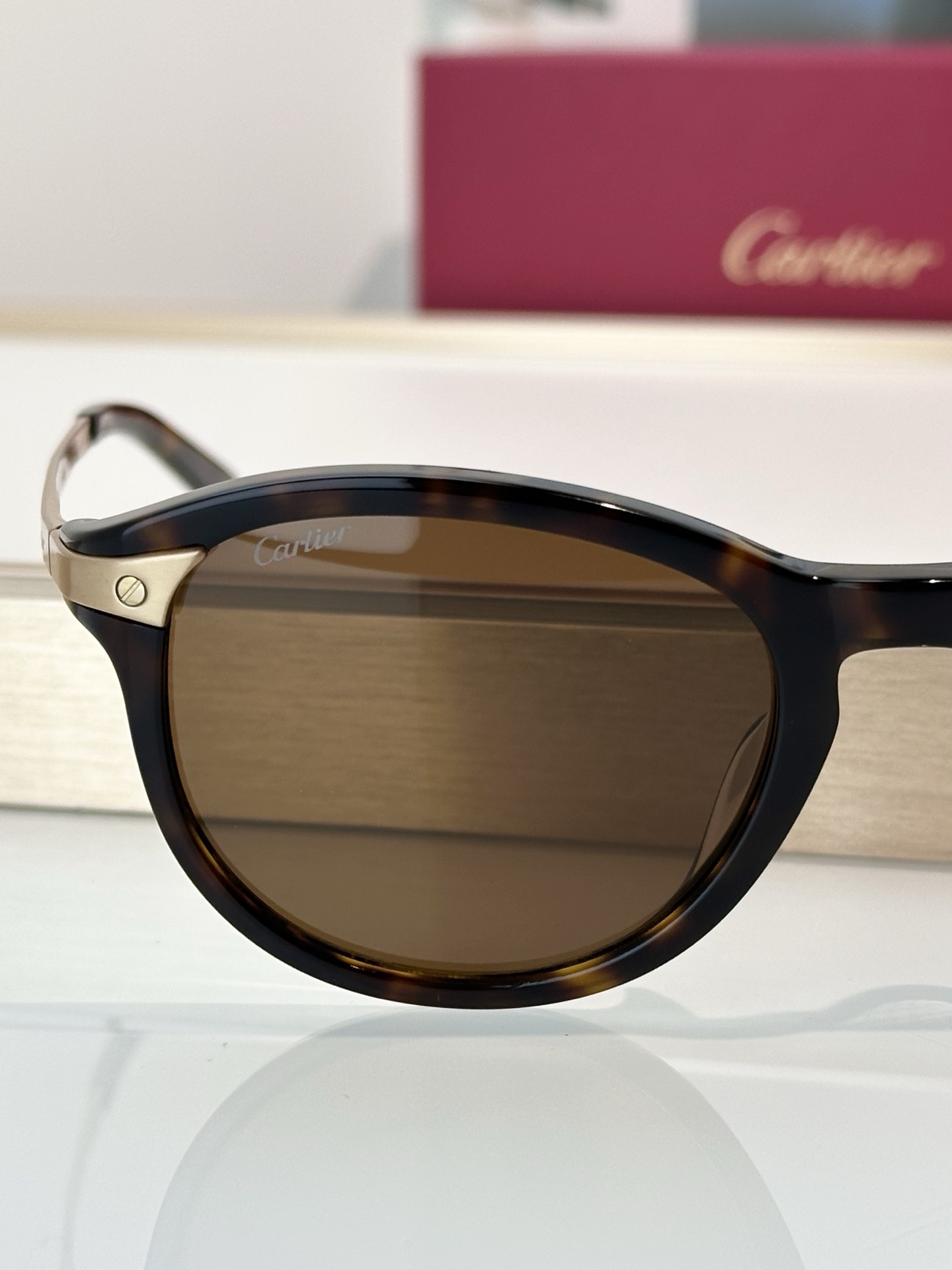 Designer Sunglasses CT0082OA