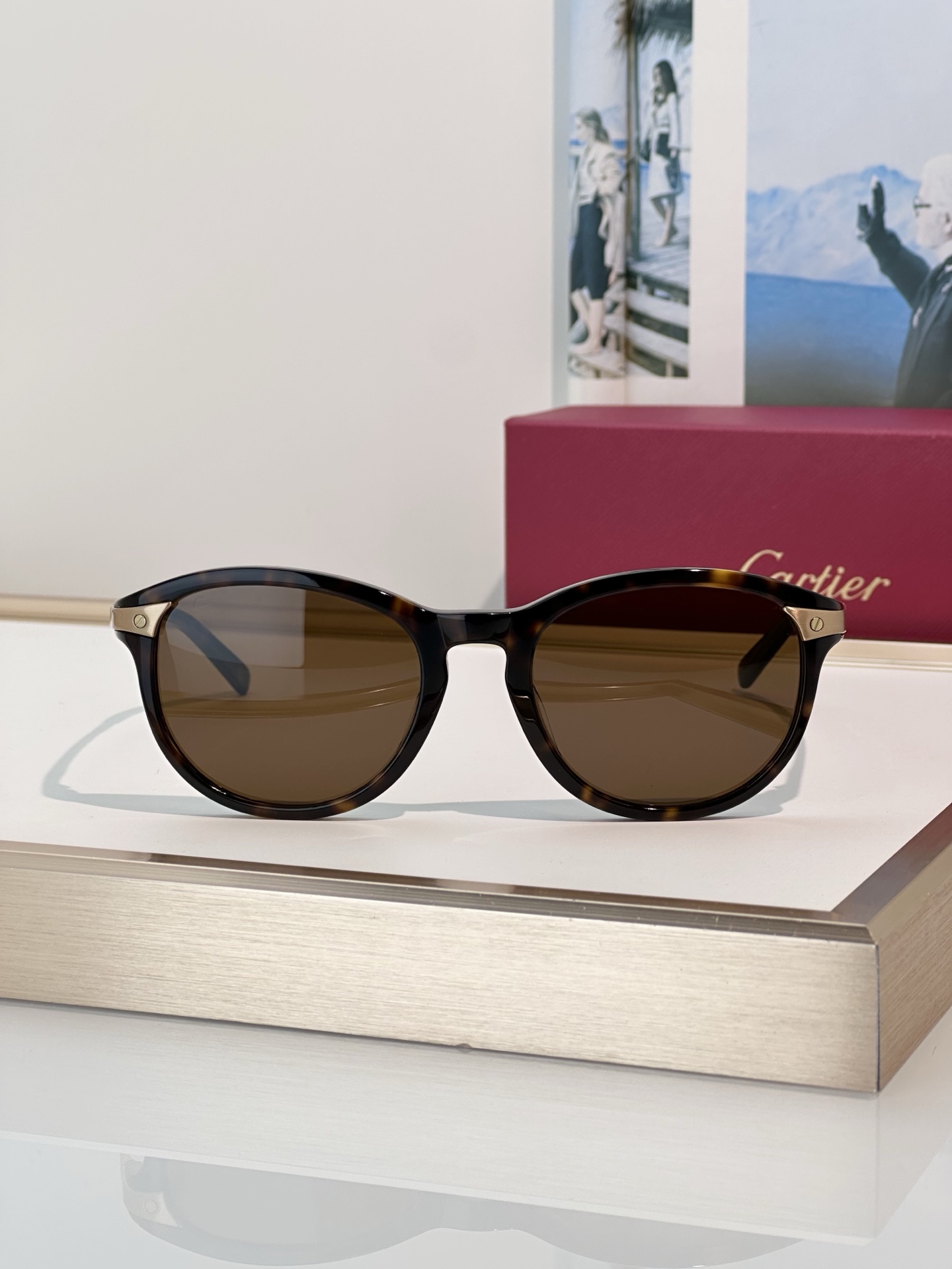 Designer Sunglasses CT0082OA