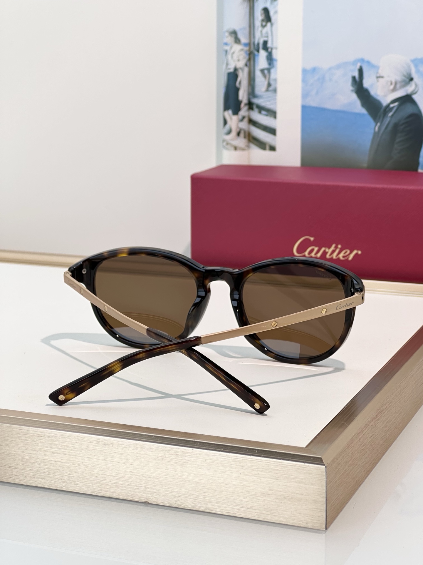 Designer Sunglasses CT0082OA