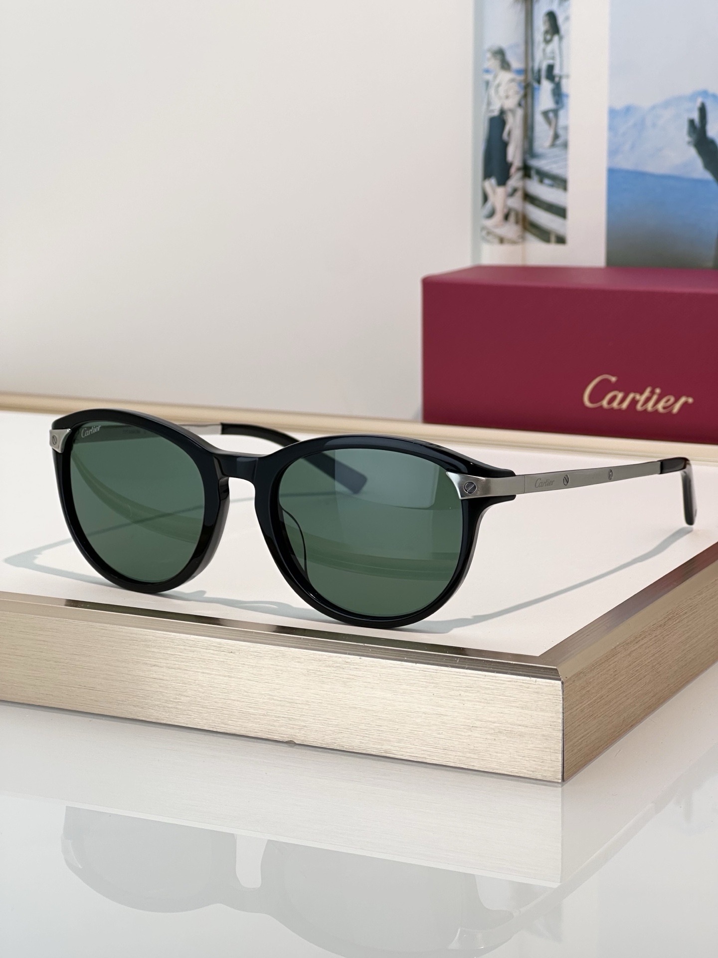 Designer Sunglasses CT0082OA
