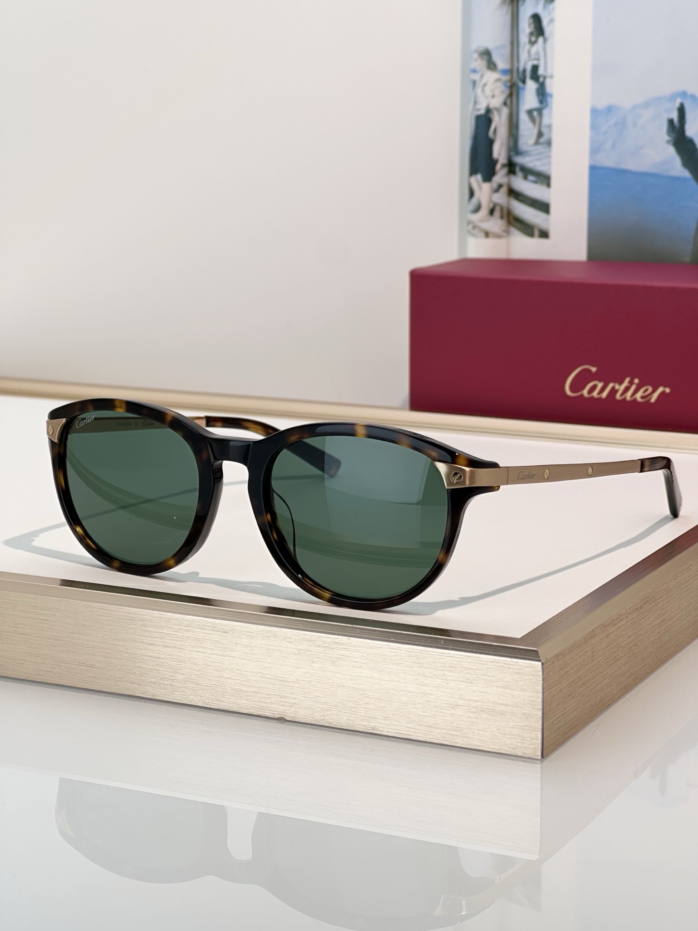Designer Sunglasses CT0082OA