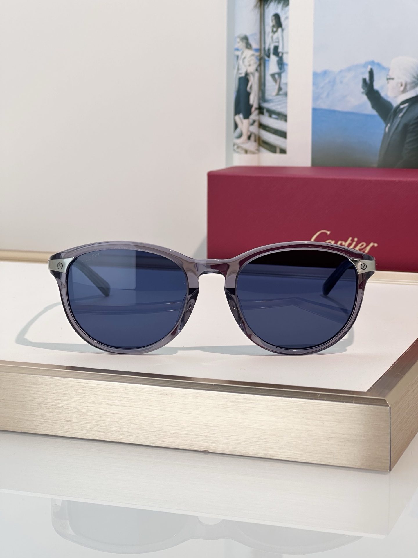 Designer Sunglasses CT0082OA