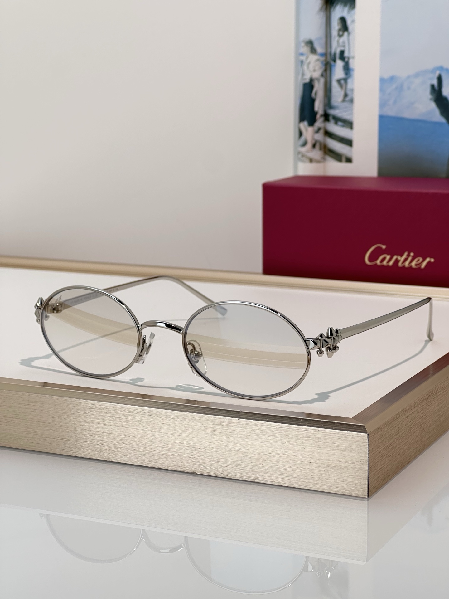Designer Sunglasses CT0644S