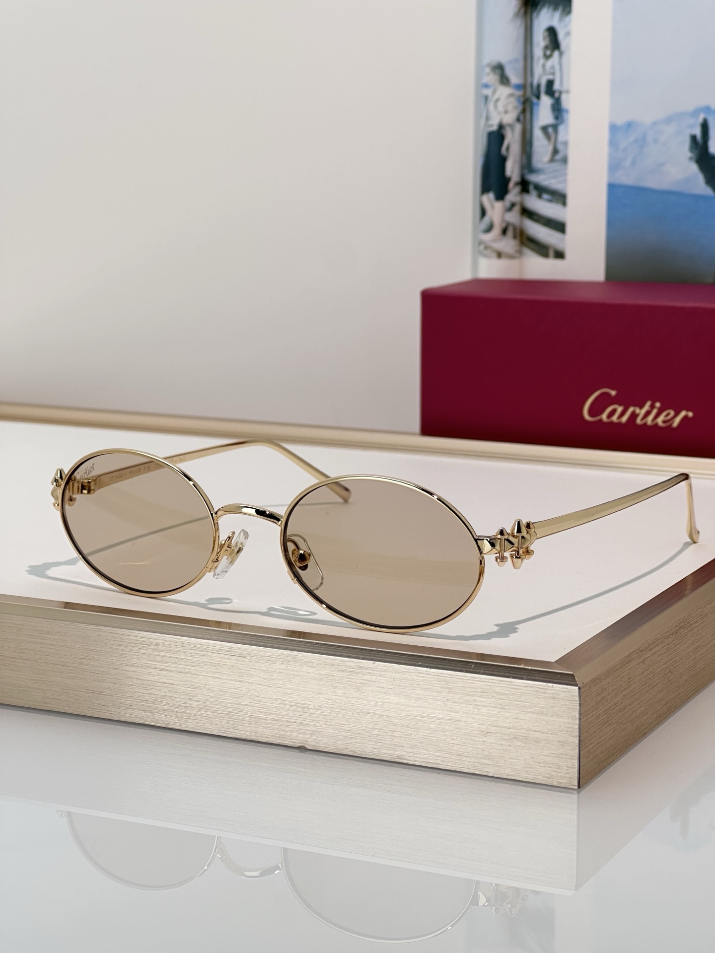 Designer Sunglasses CT0644S