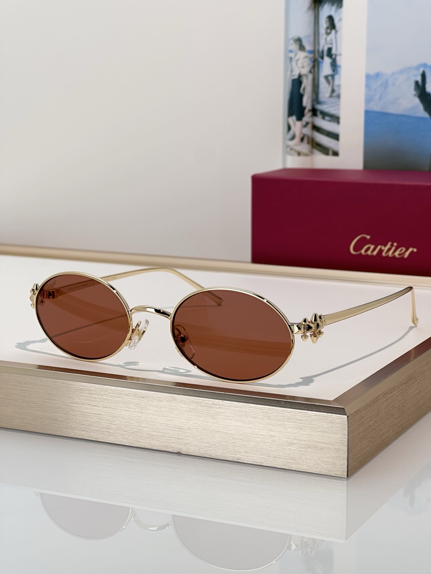 Designer Sunglasses CT0644S