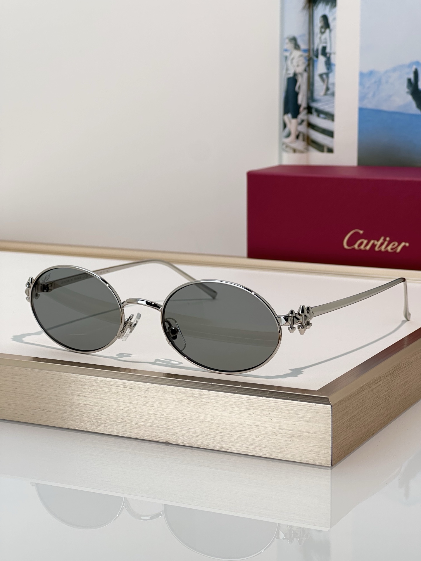 Designer Sunglasses CT0644S
