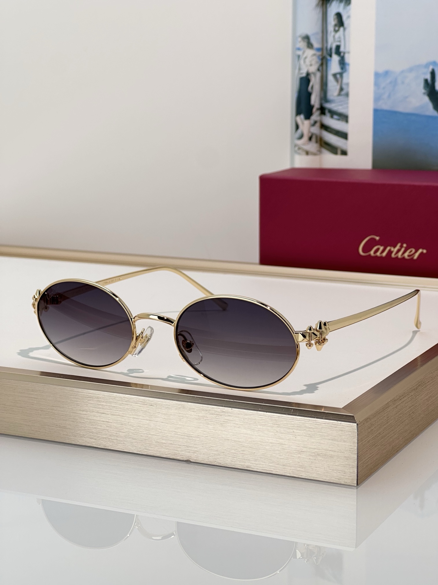 Designer Sunglasses CT0644S