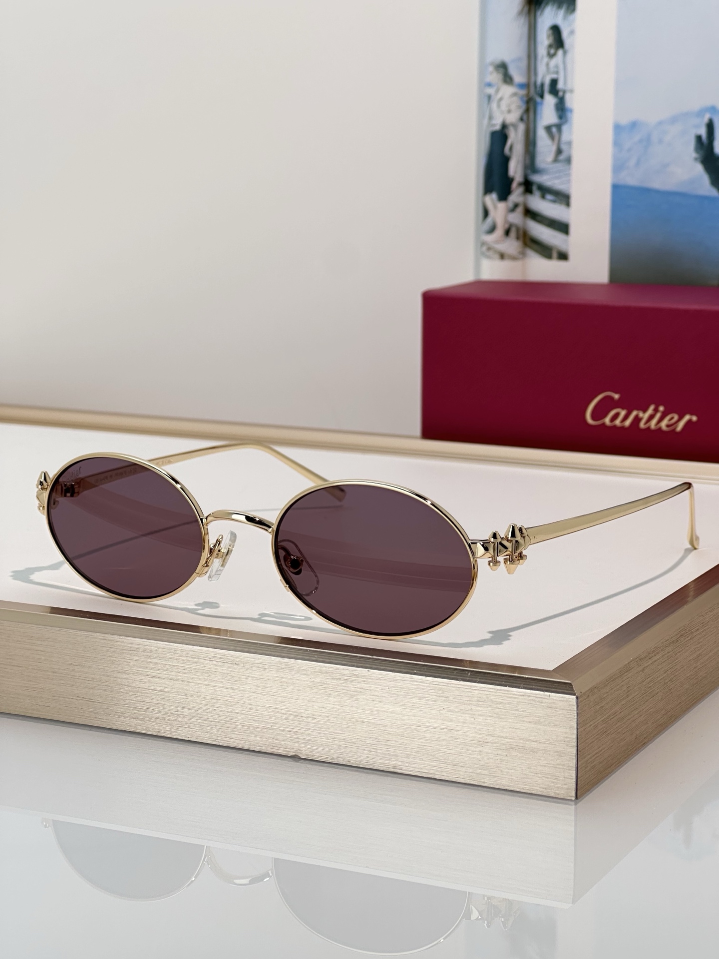 Designer Sunglasses CT0644S