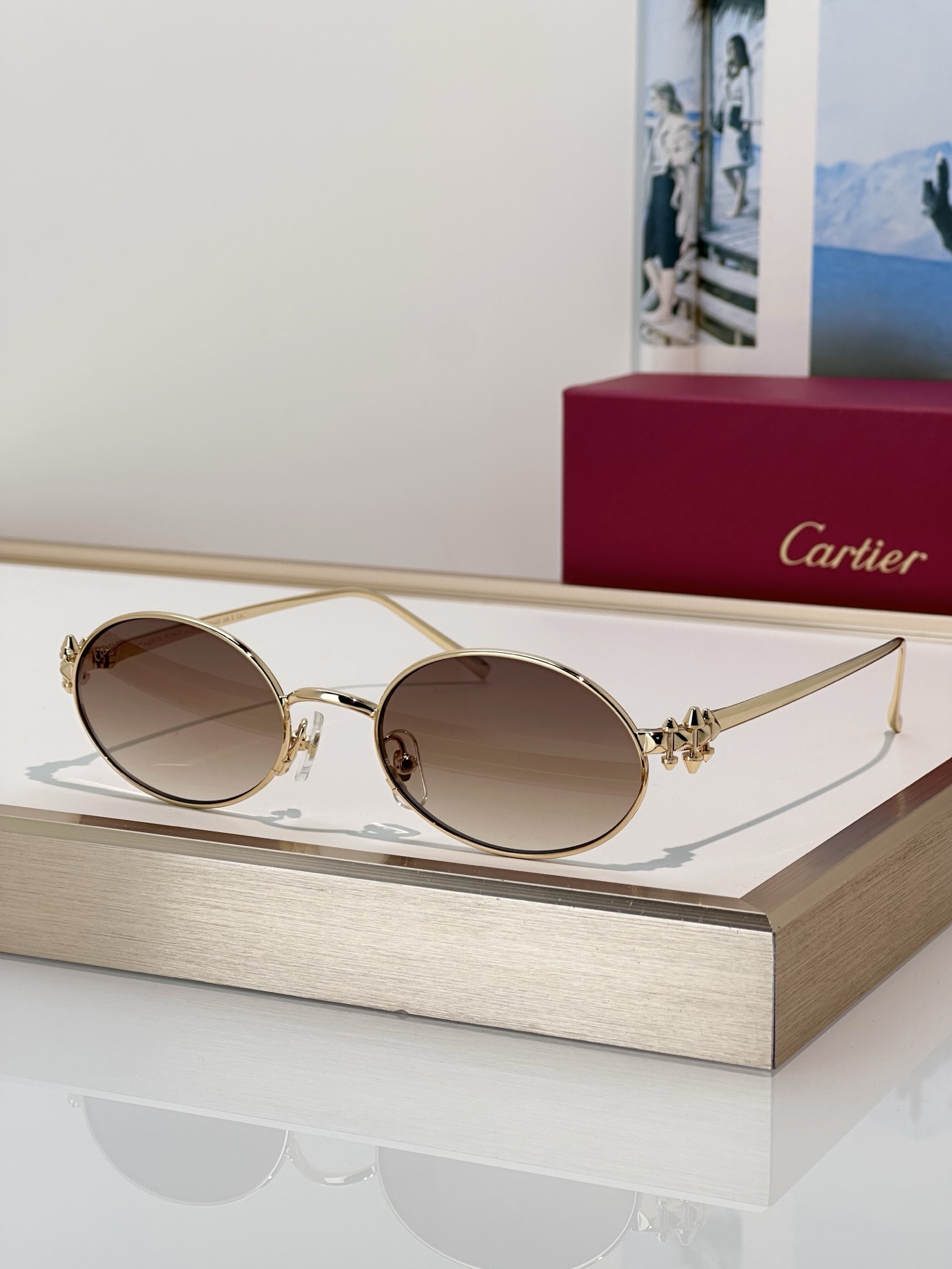 Designer Sunglasses CT0644S