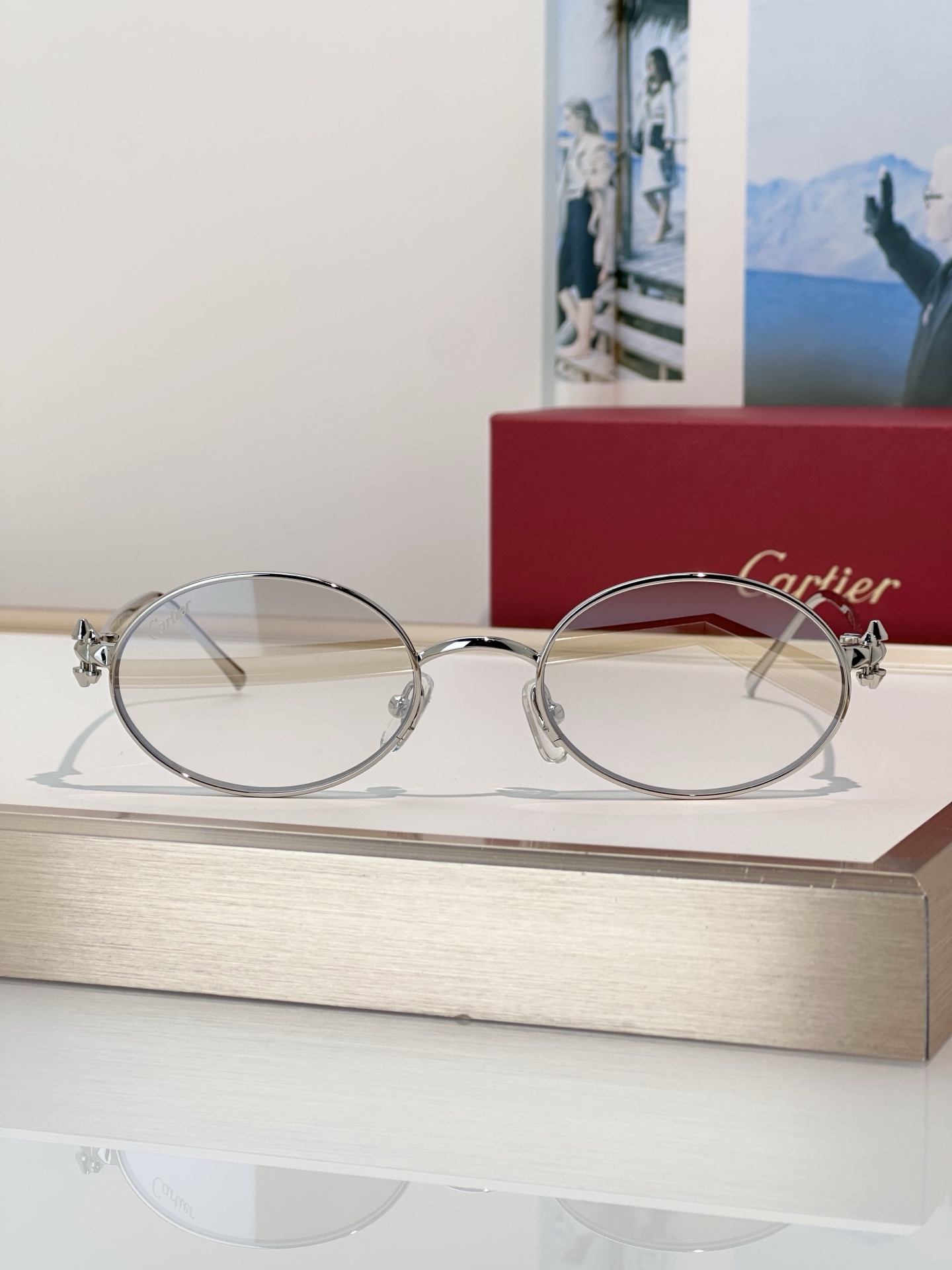 Designer Sunglasses CT0644S