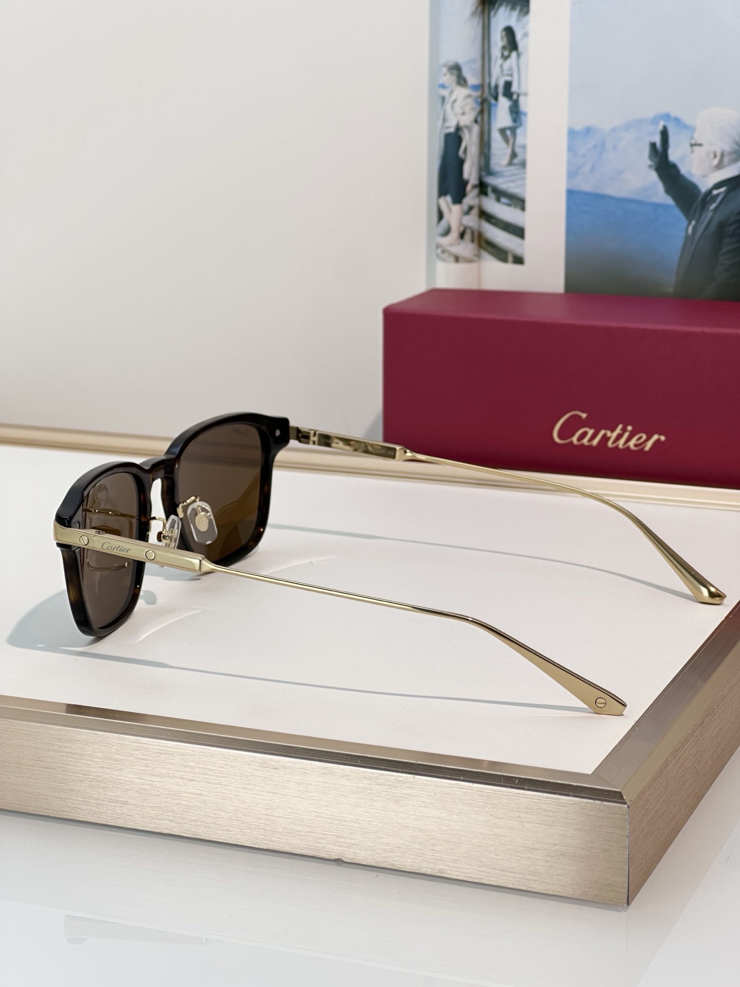 Designer Sunglasses CT0612OA