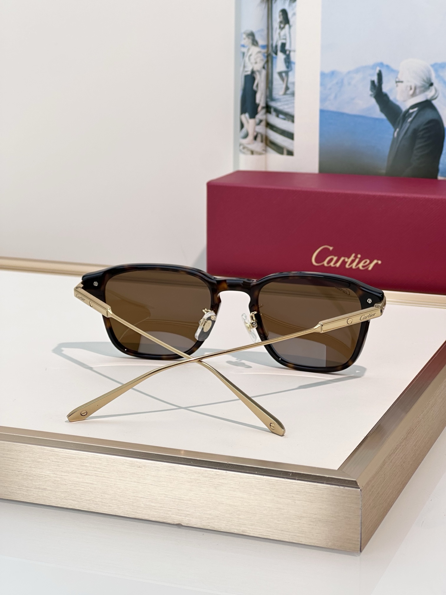 Designer Sunglasses CT0612OA