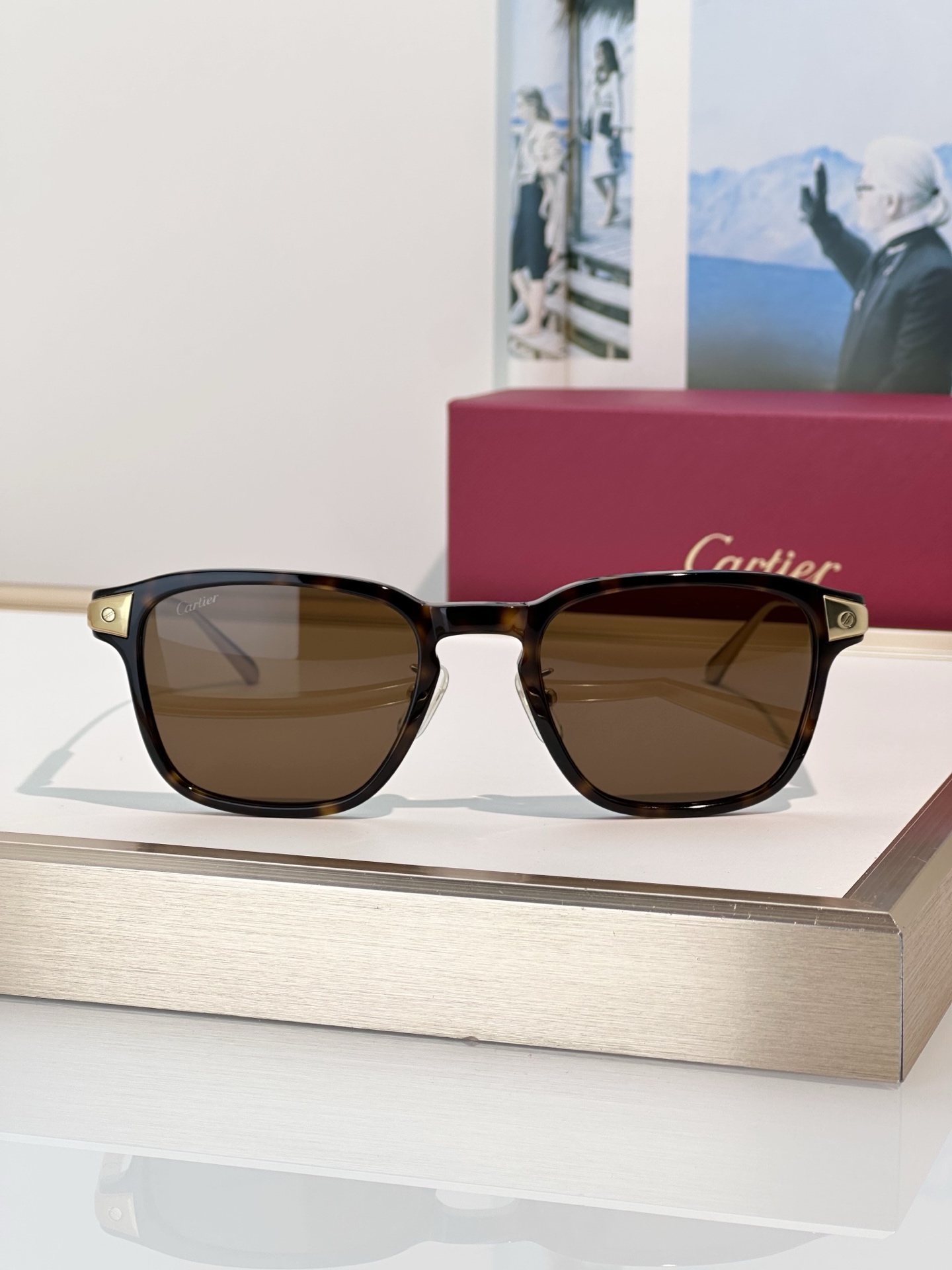 Designer Sunglasses CT0612OA