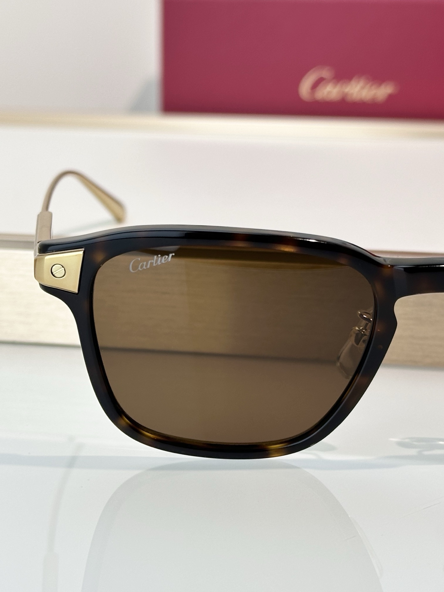 Designer Sunglasses CT0612OA