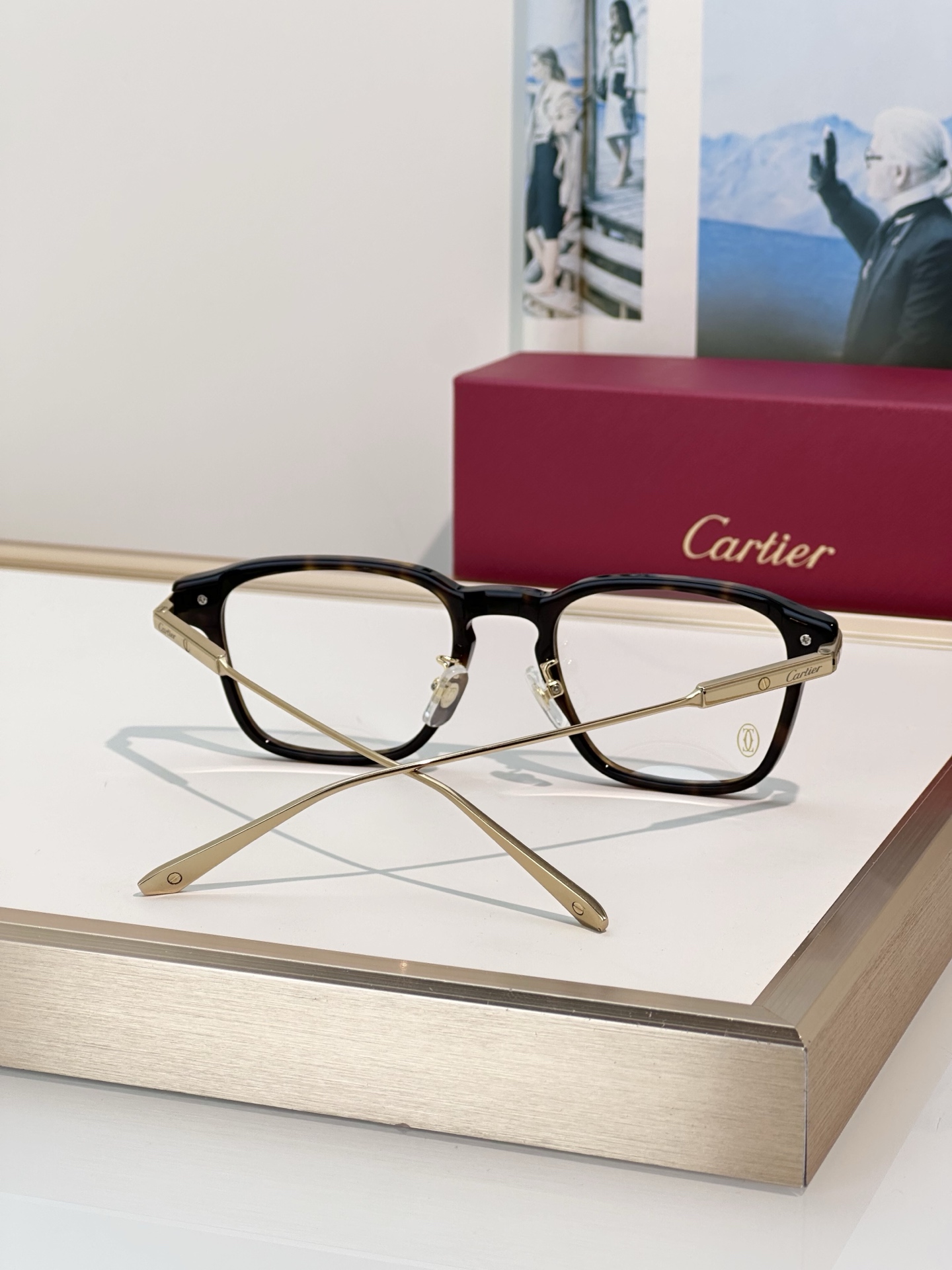 Designer Sunglasses CT0612OA