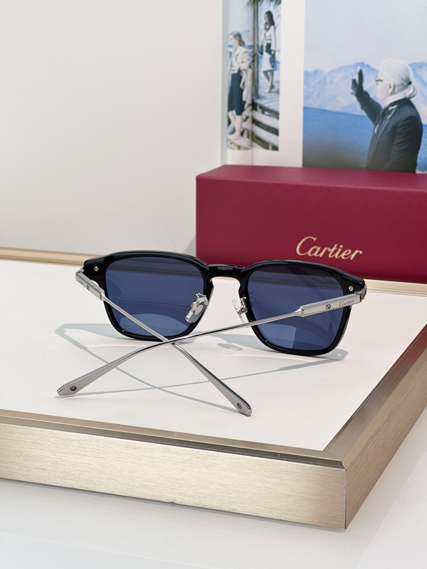Designer Sunglasses CT0612OA