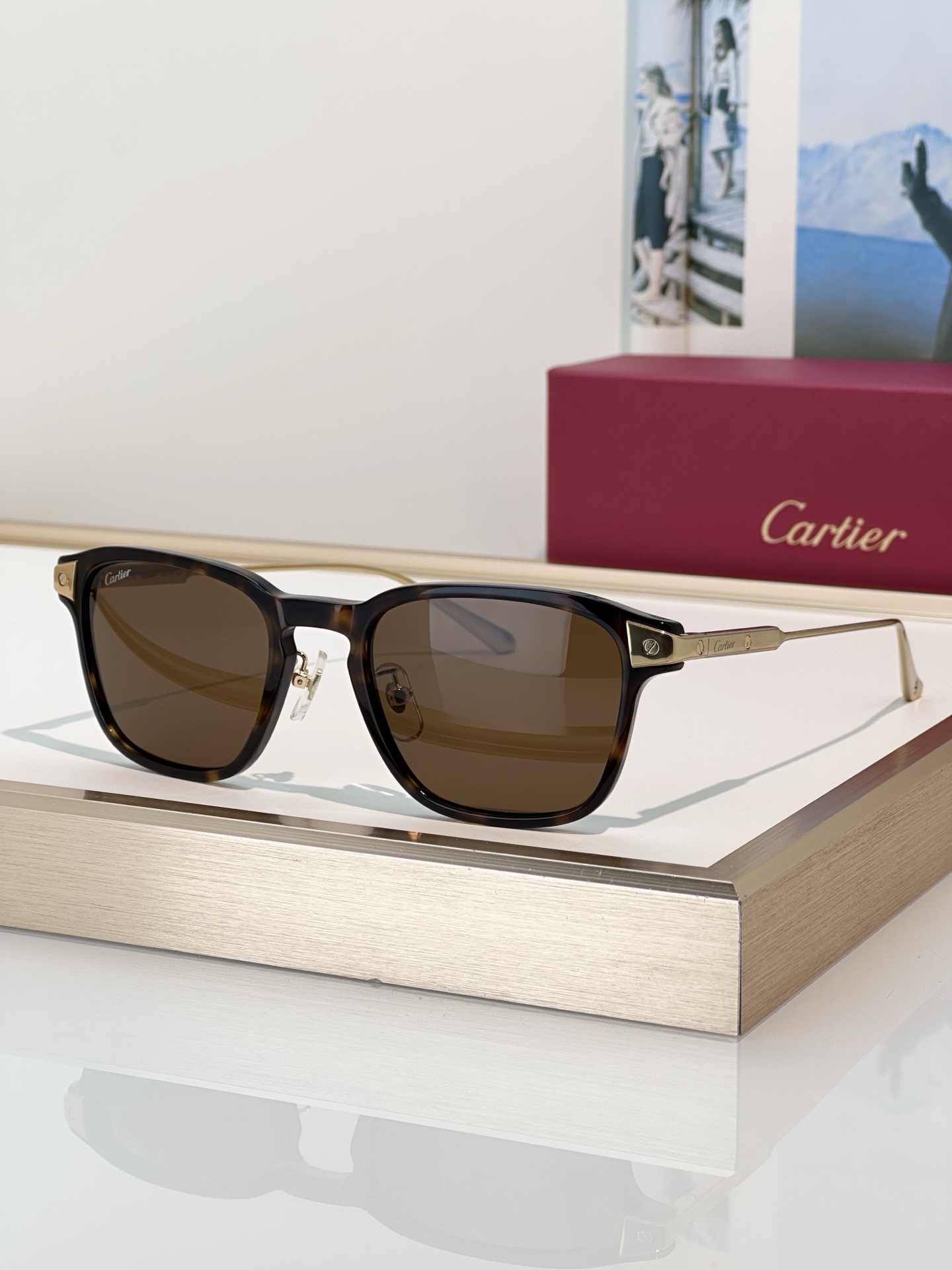 Designer Sunglasses CT0612OA