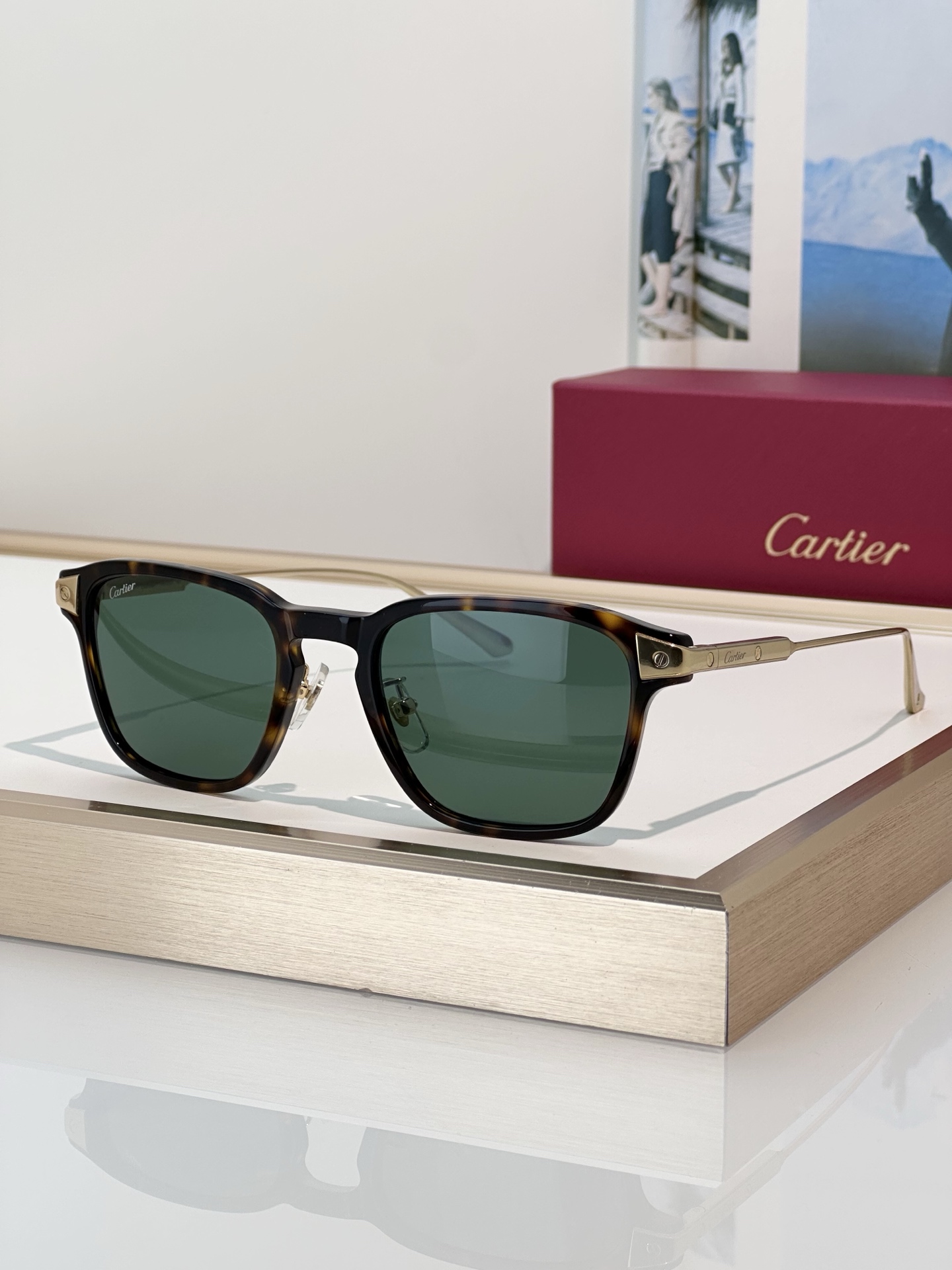 Designer Sunglasses CT0612OA