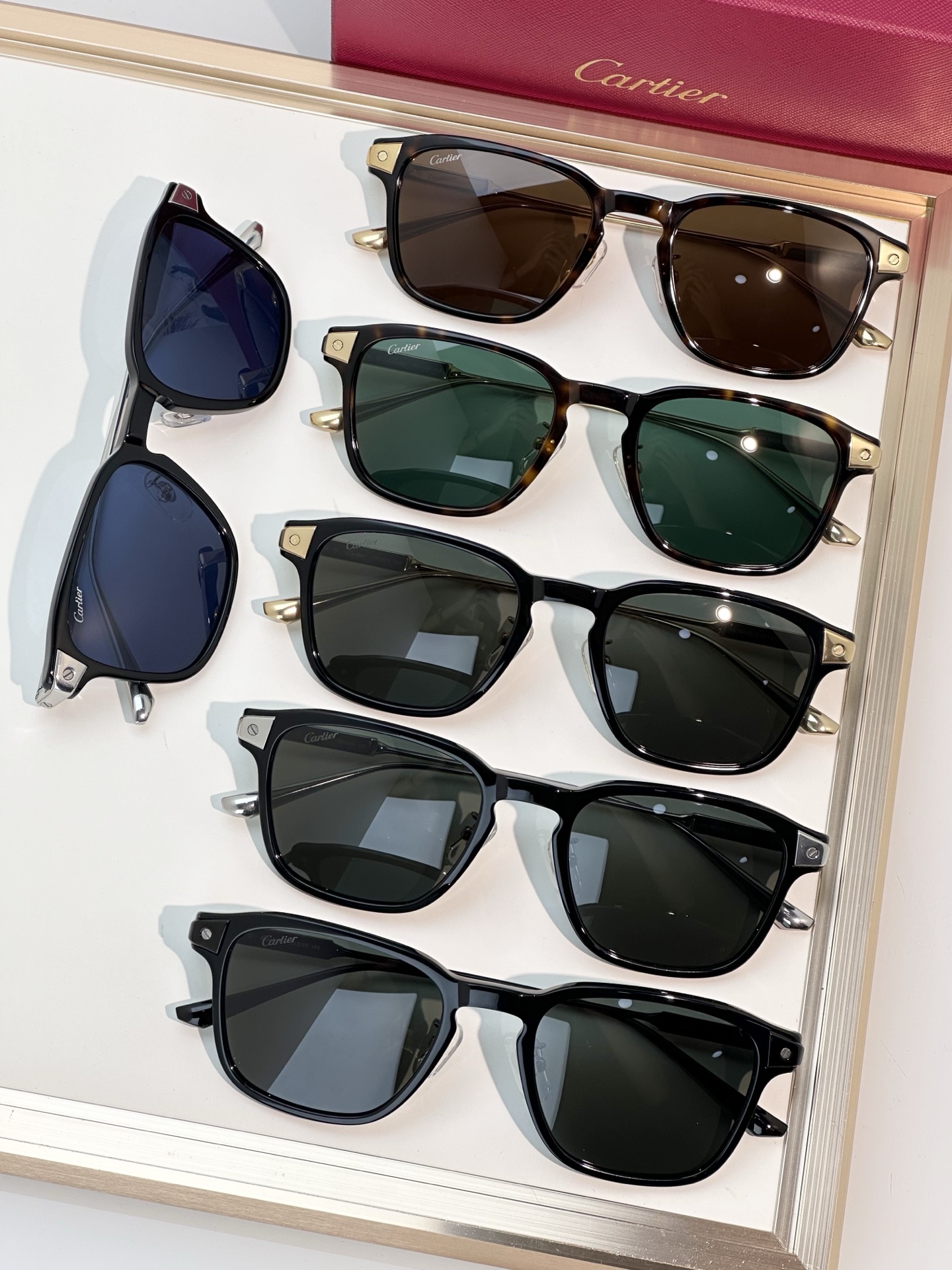 Designer Sunglasses CT0612OA