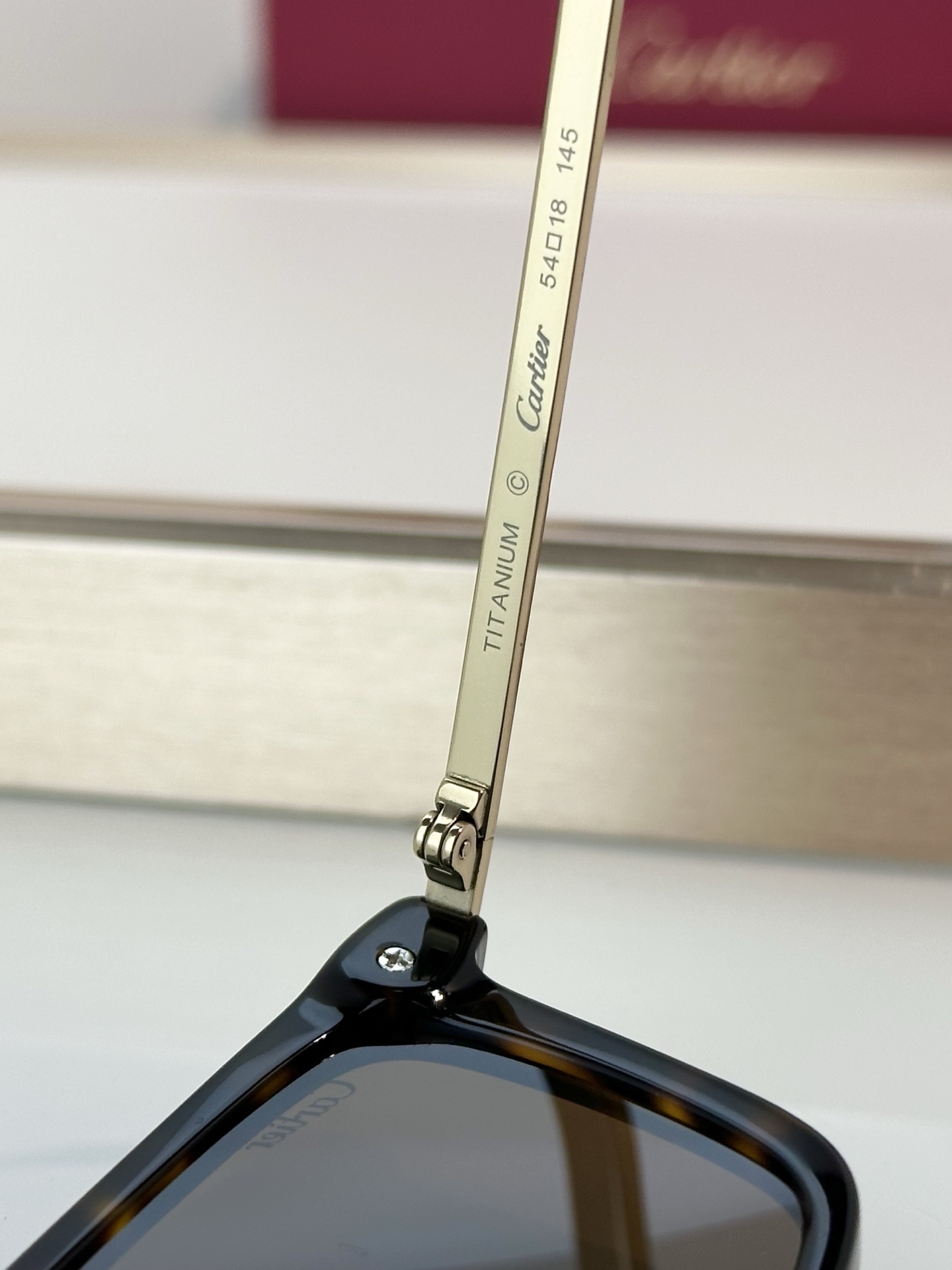 Designer Sunglasses CT0629OA