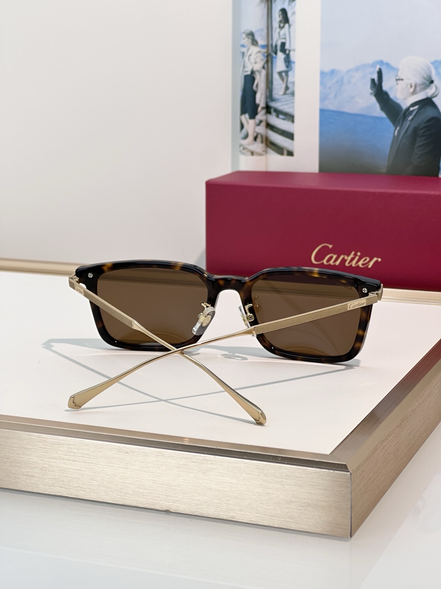 Designer Sunglasses CT0629OA