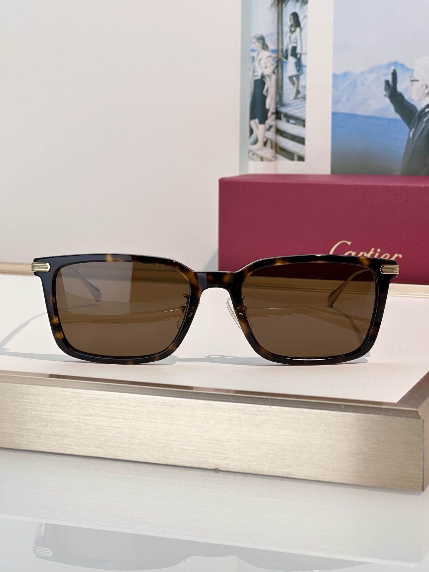 Designer Sunglasses CT0629OA