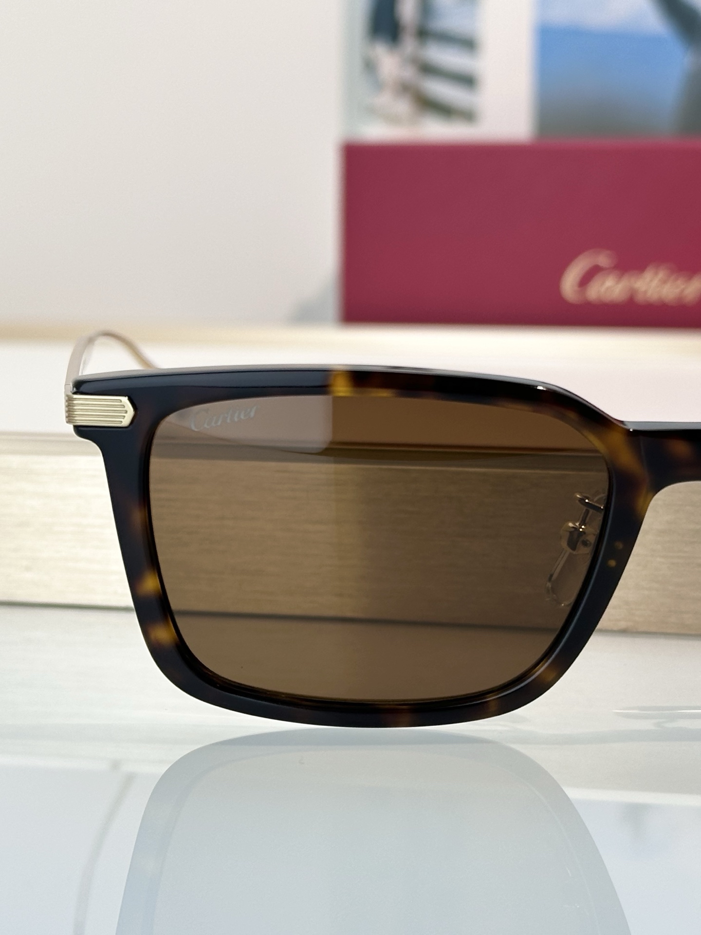 Designer Sunglasses CT0629OA