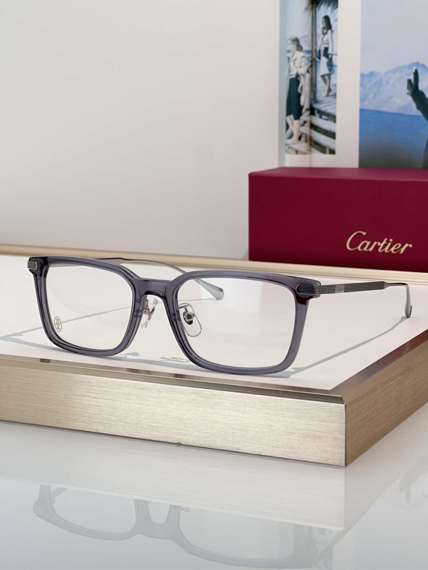 Designer Sunglasses CT0629OA