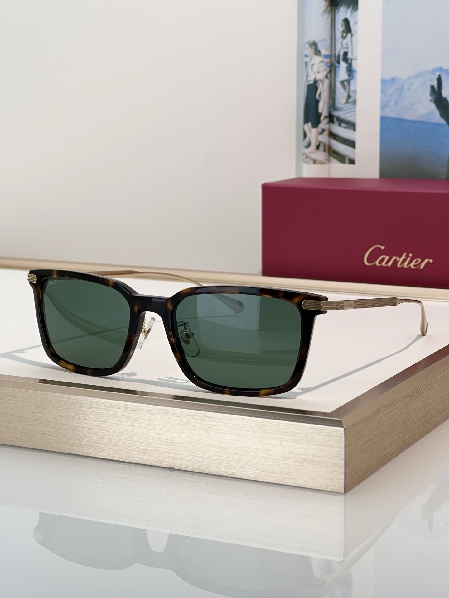 Designer Sunglasses CT0629OA