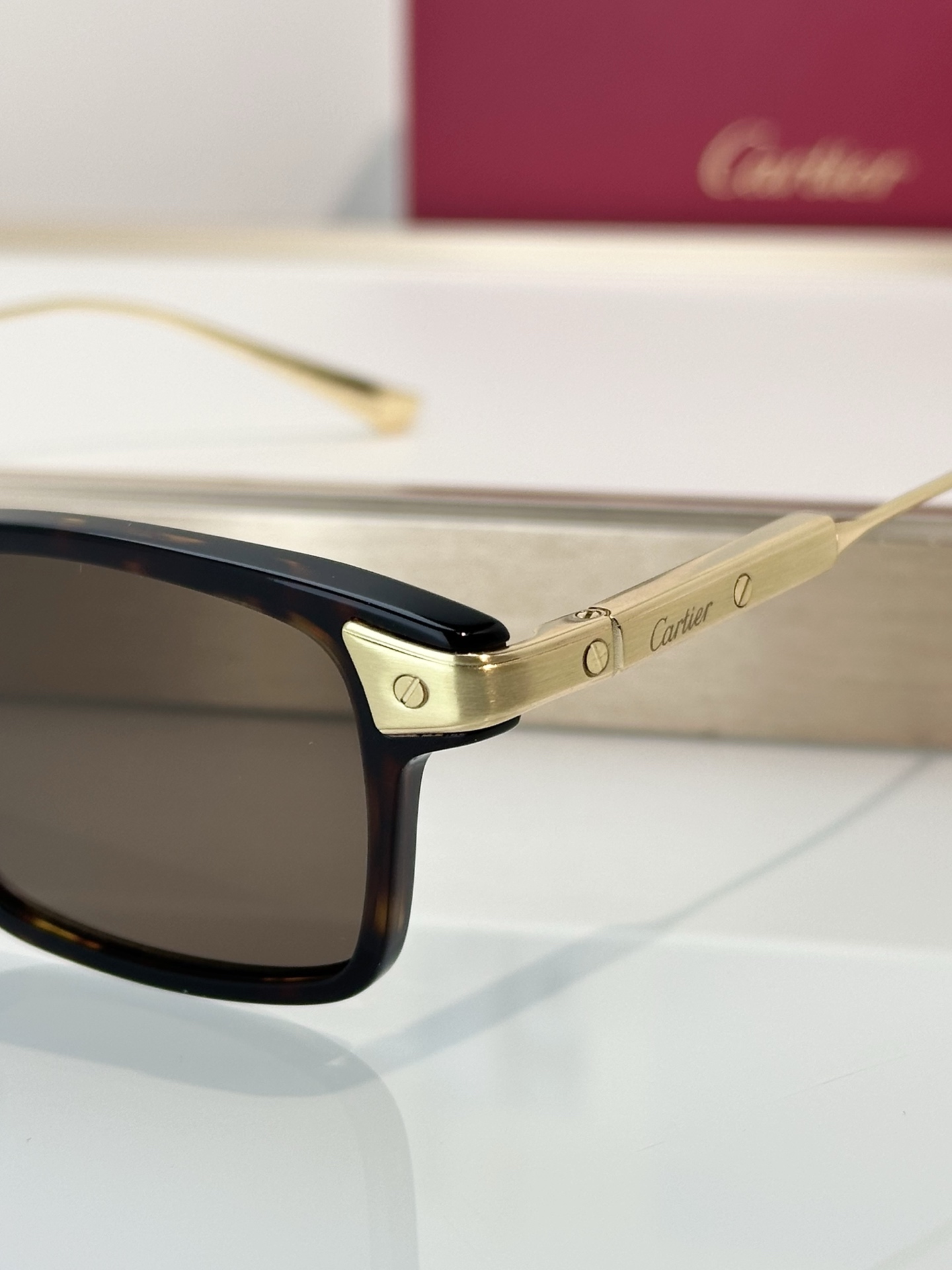 Designer Sunglasses CT0653O