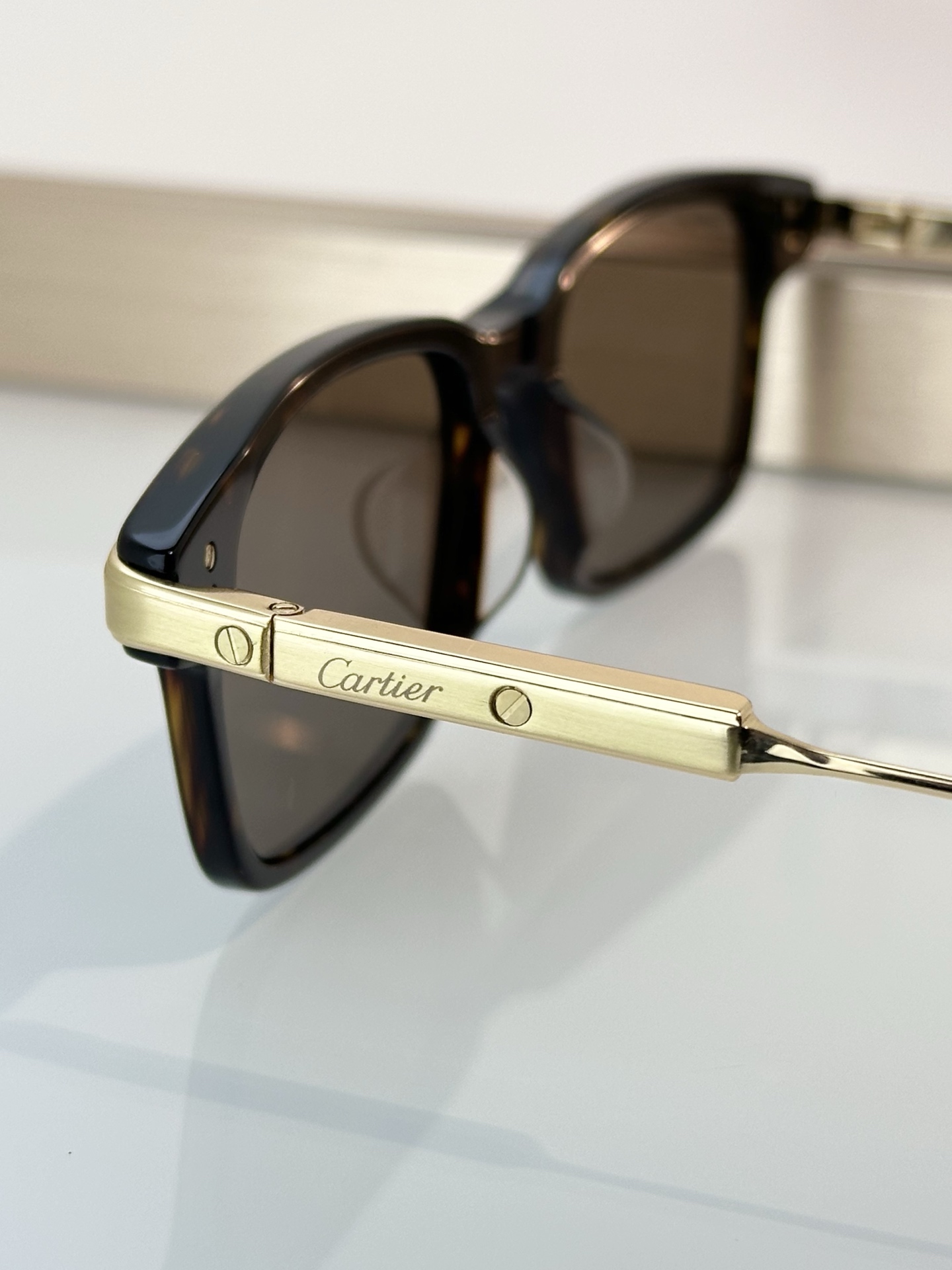 Designer Sunglasses CT0653O
