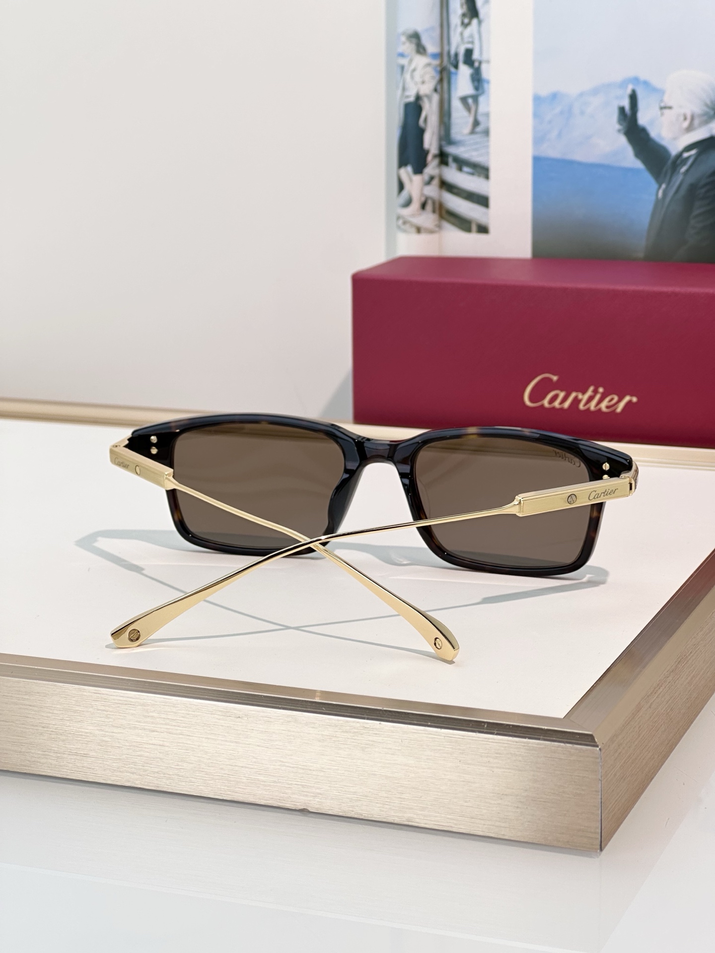 Designer Sunglasses CT0653O