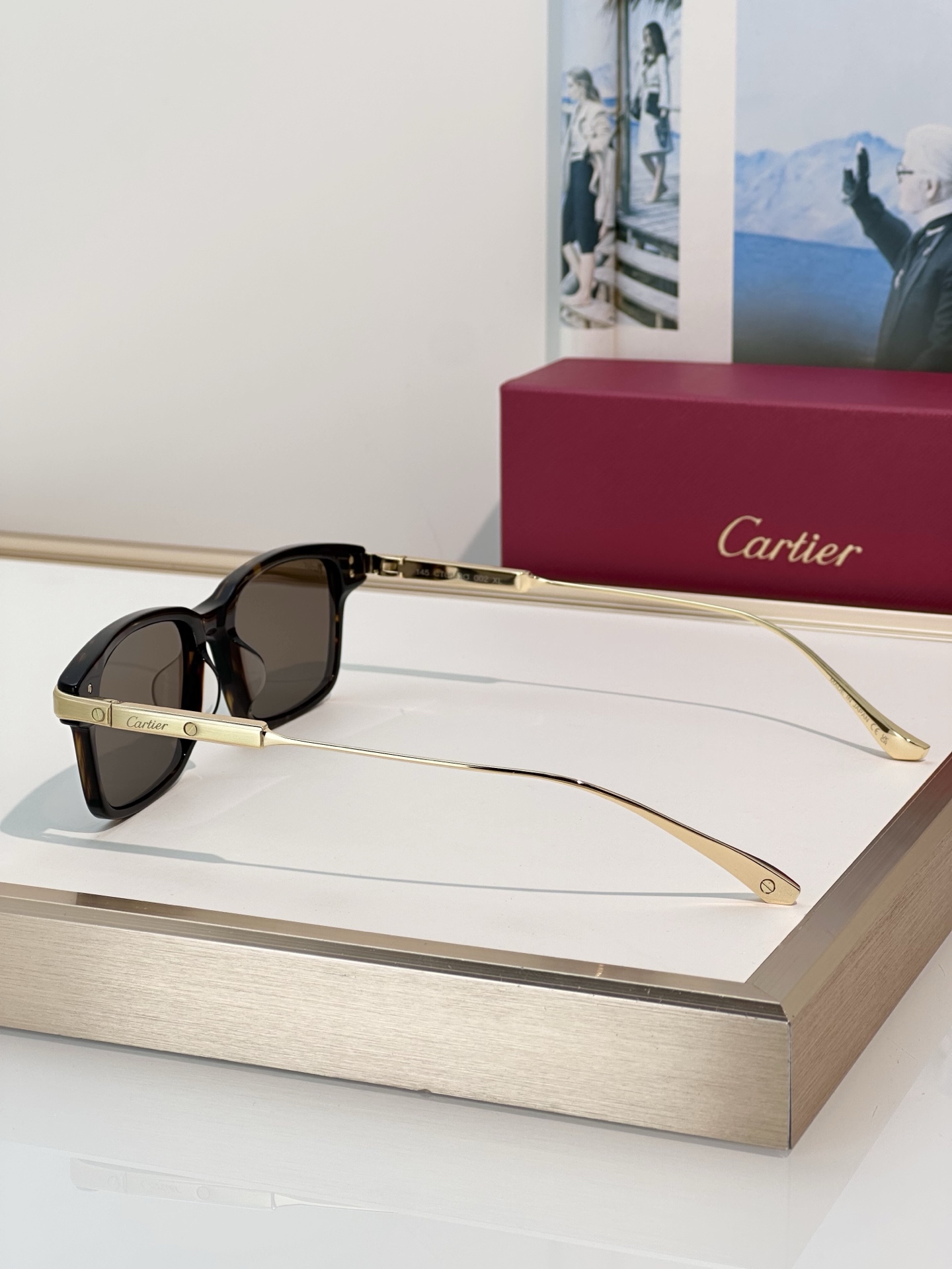 Designer Sunglasses CT0653O