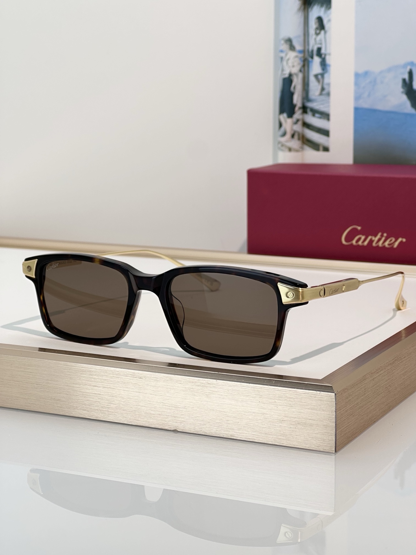 Designer Sunglasses CT0653O