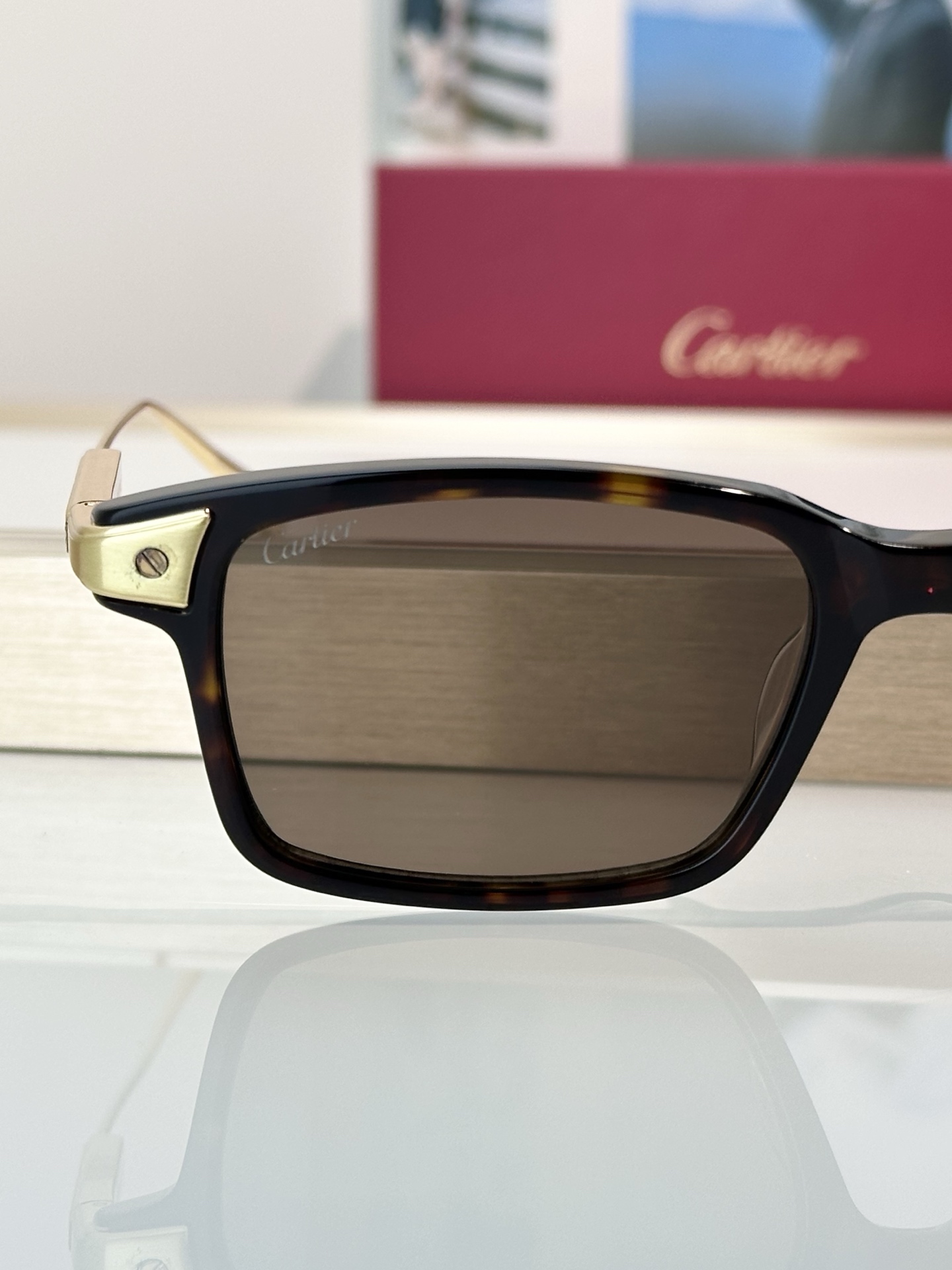 Designer Sunglasses CT0653O