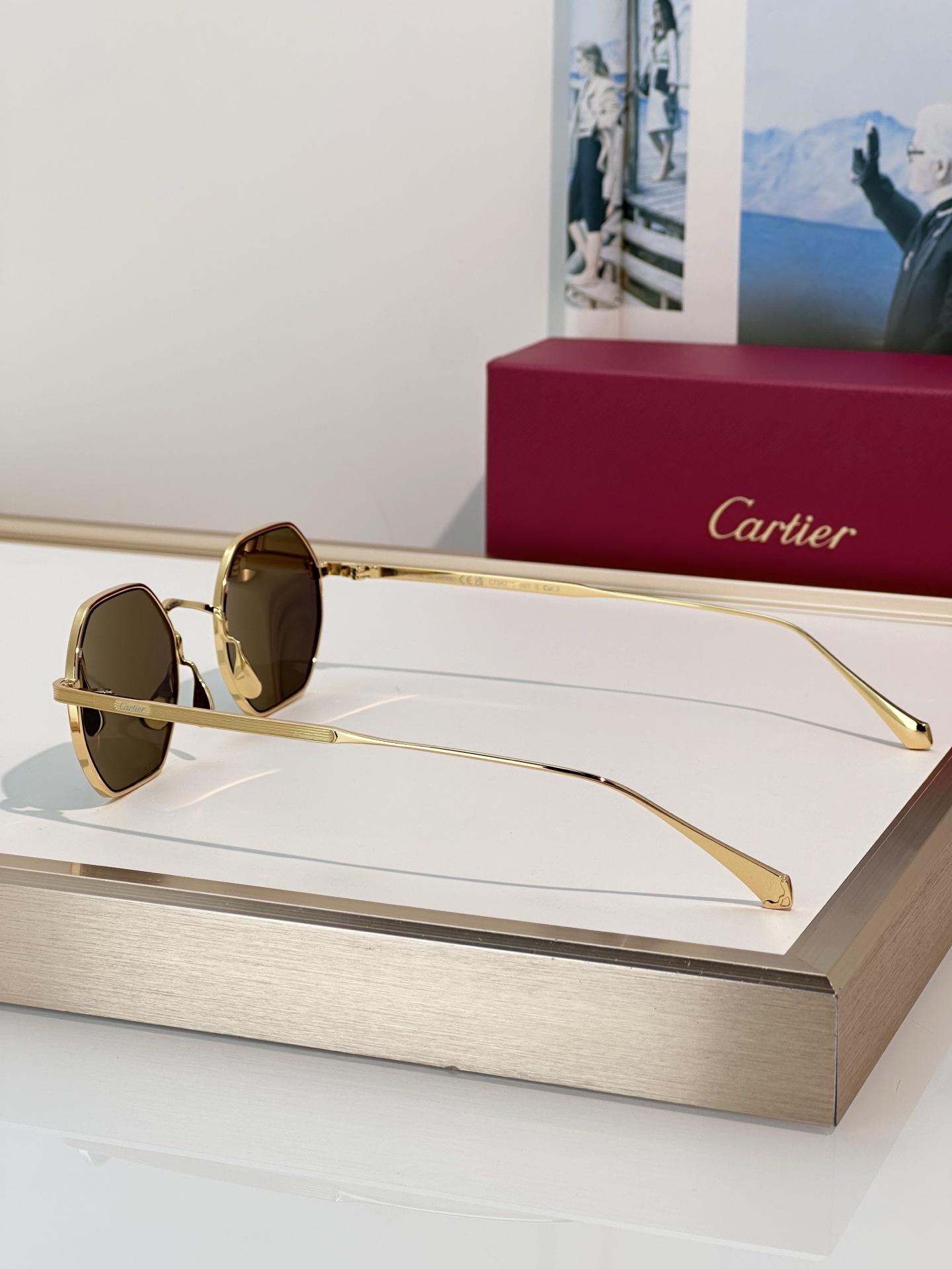 Designer Sunglasses CT0627S