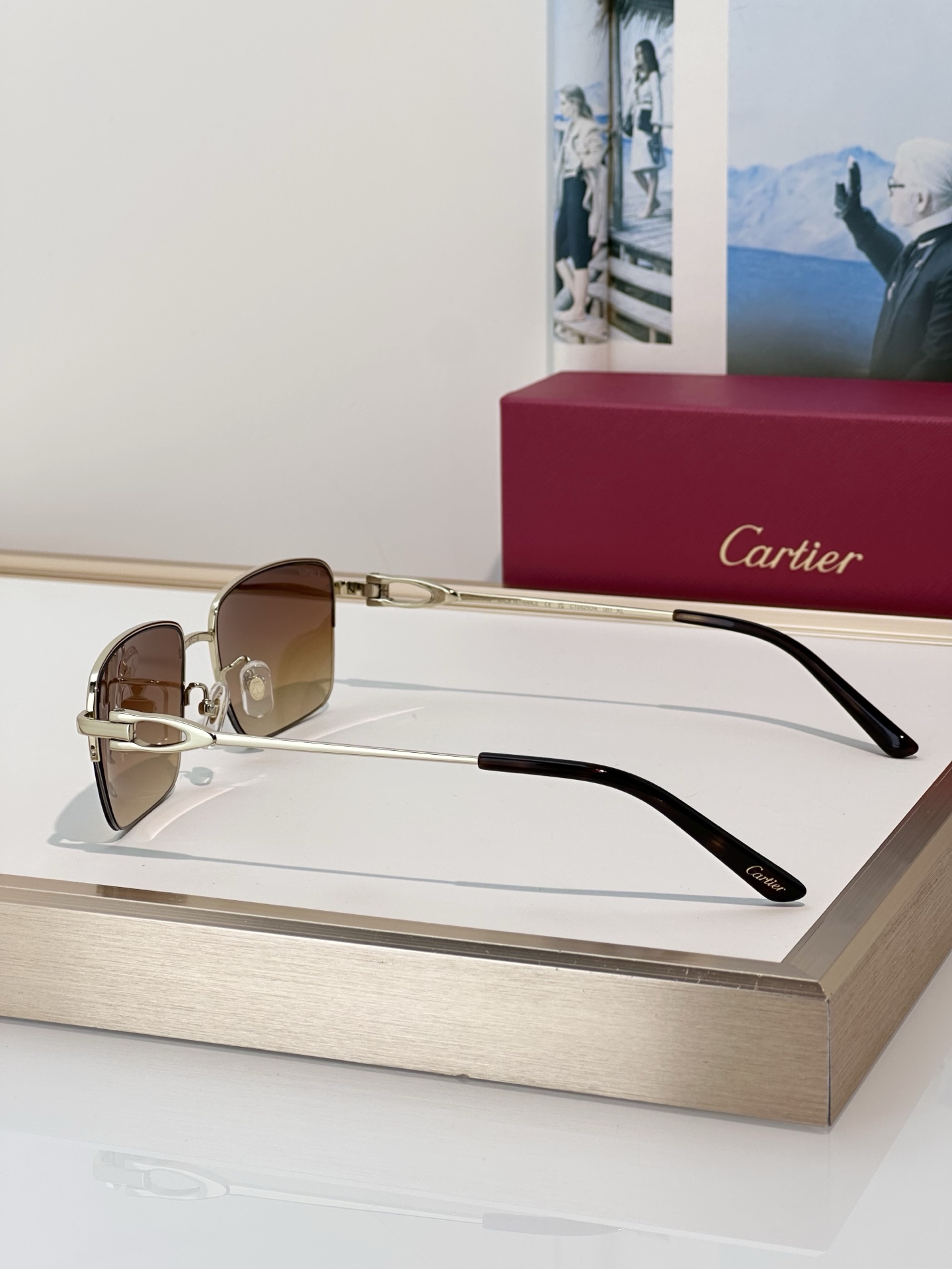 Designer Sunglasses CT0625OA