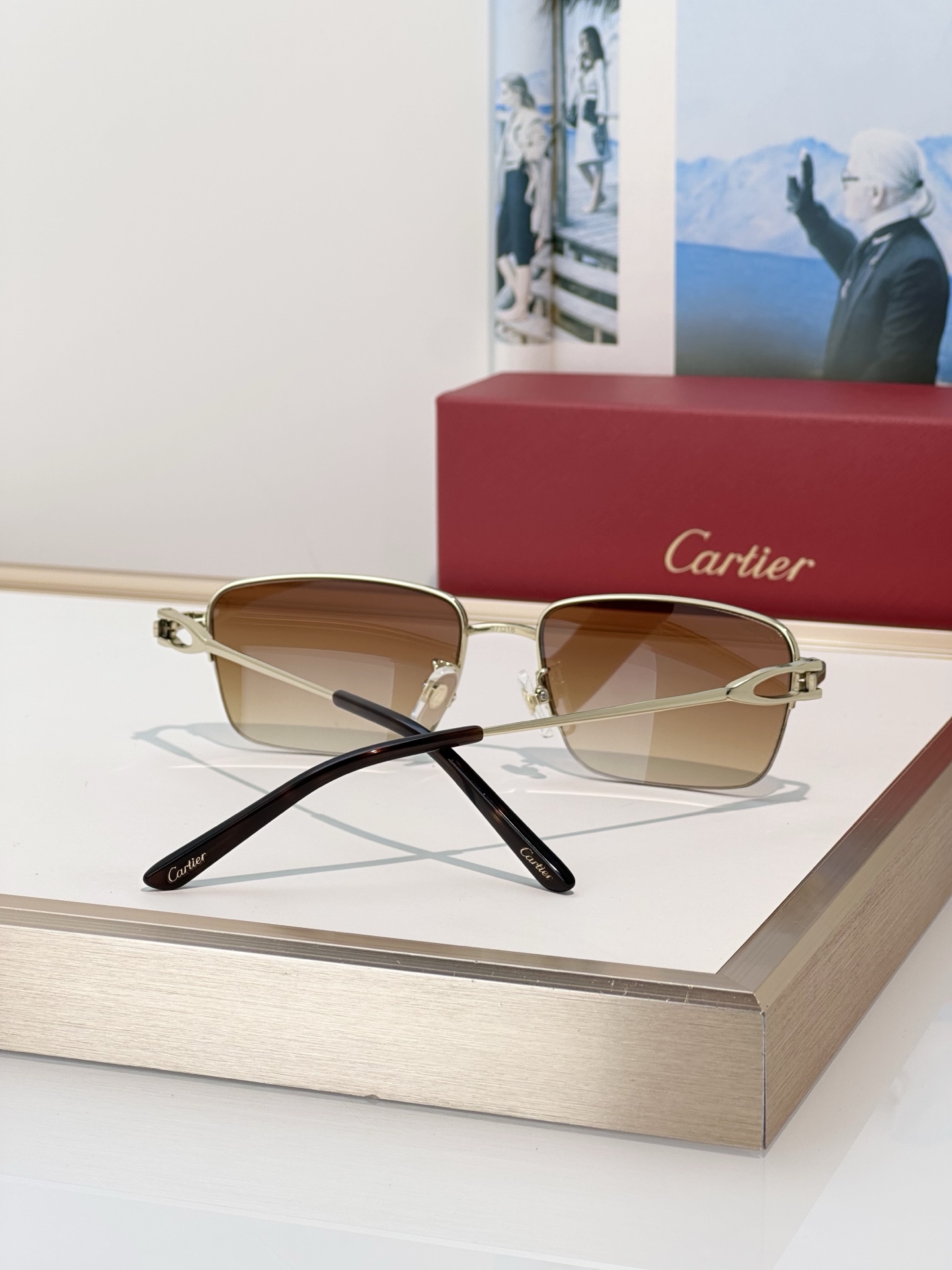 Designer Sunglasses CT0625OA