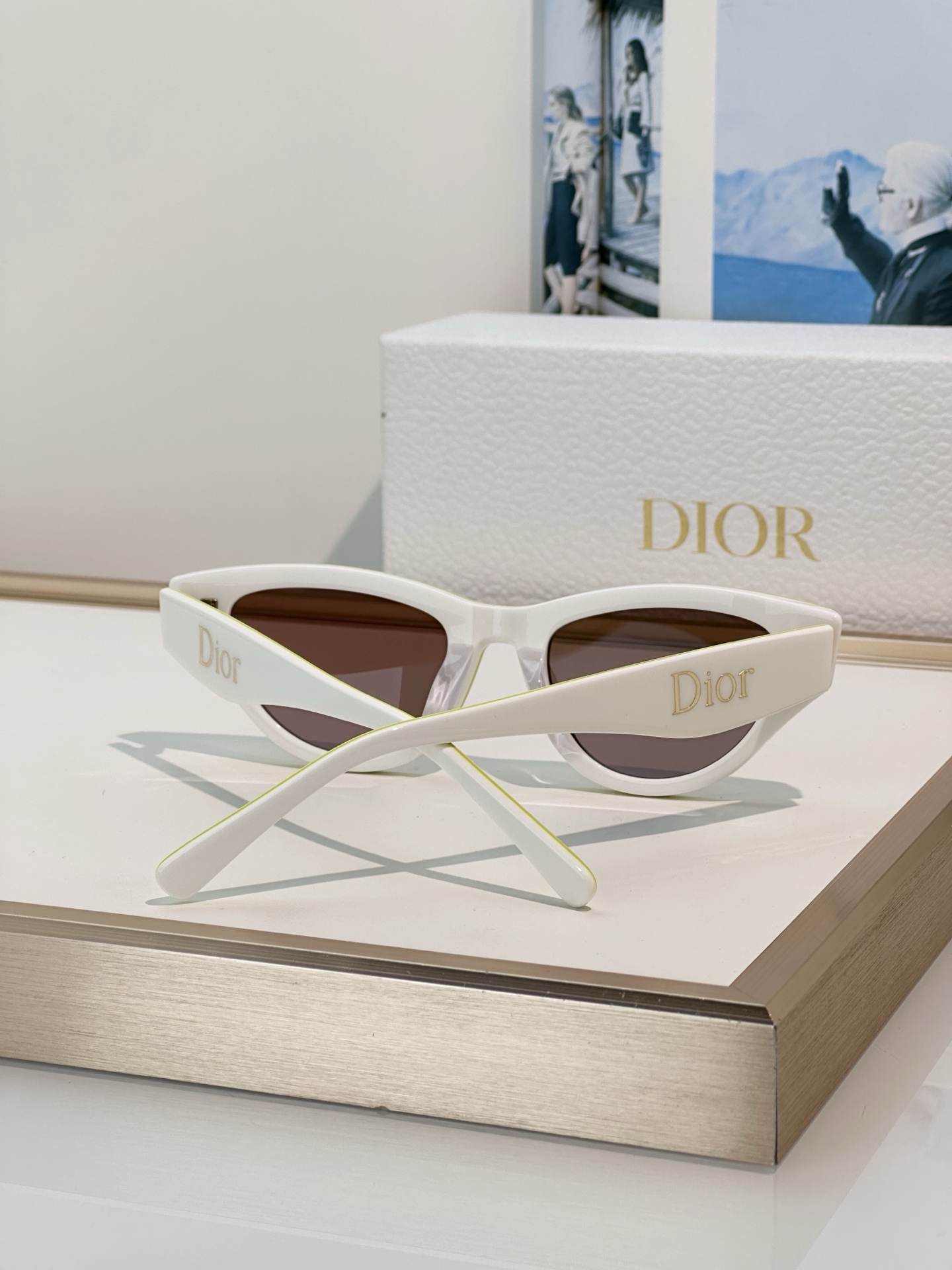 Designer Sunglasses Pop