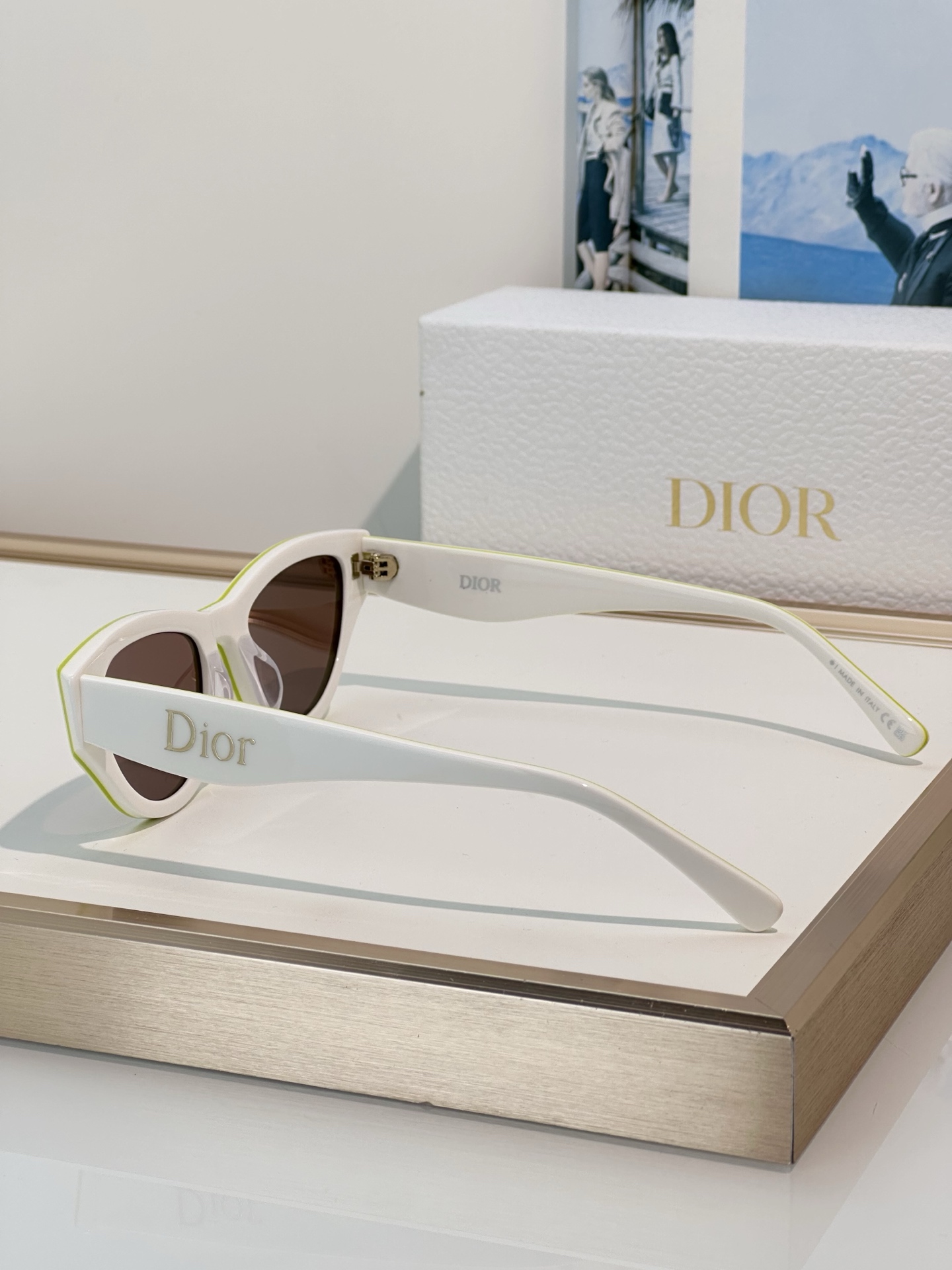Designer Sunglasses Pop