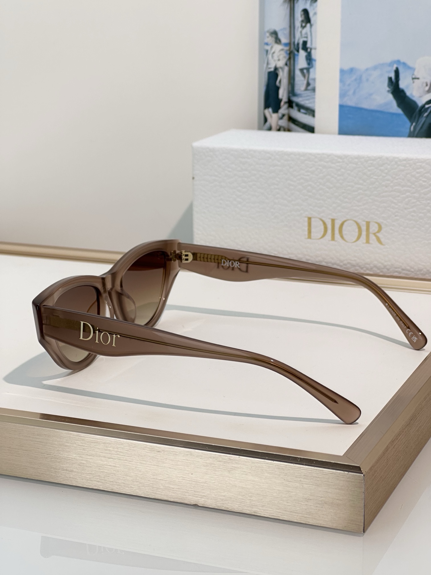 Designer Sunglasses Pop