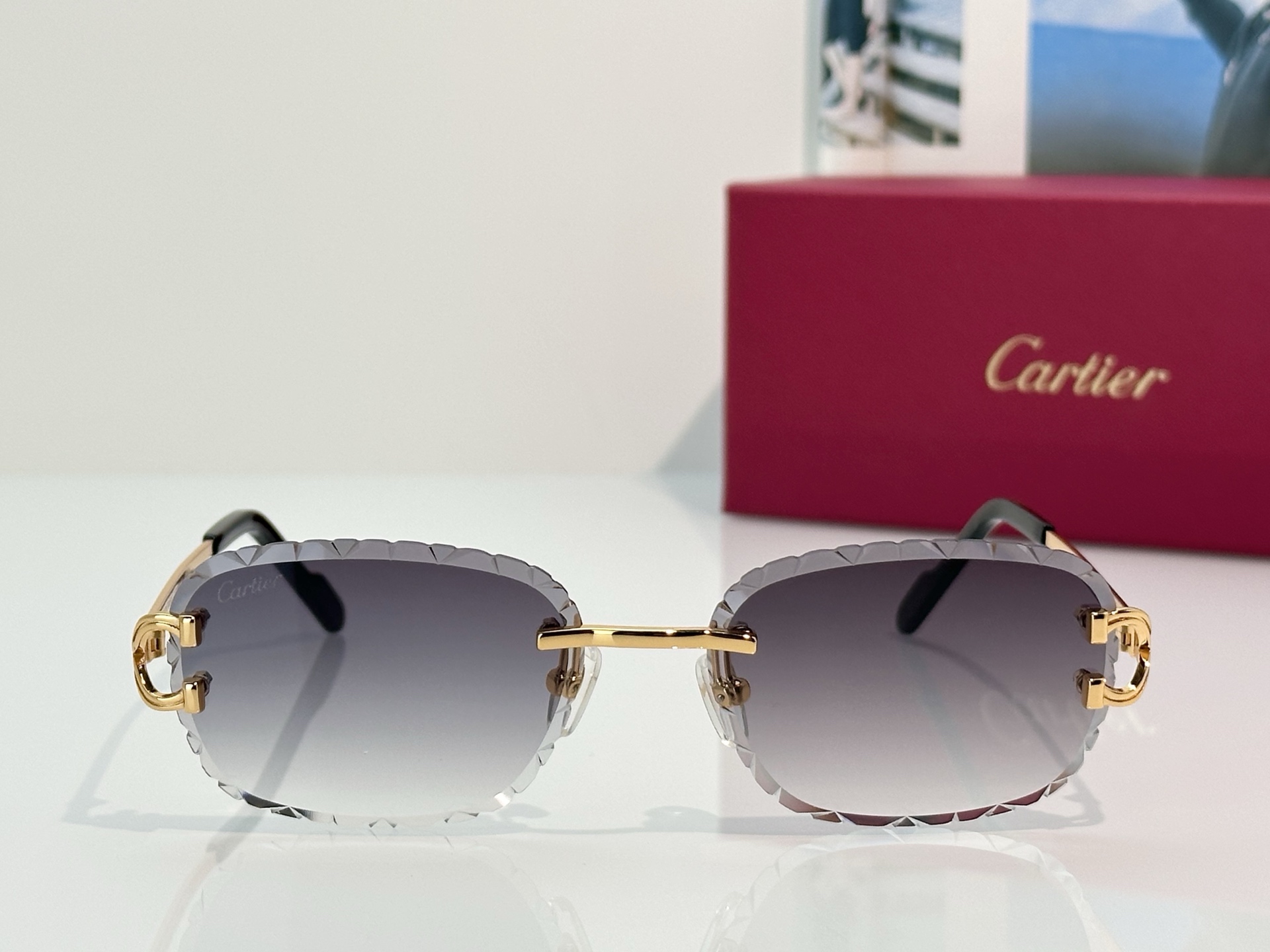 Designer Sunglasses CT7413S