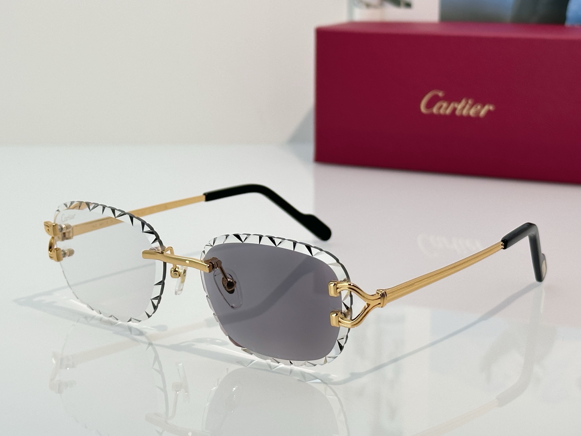 Designer Sunglasses CT7413S