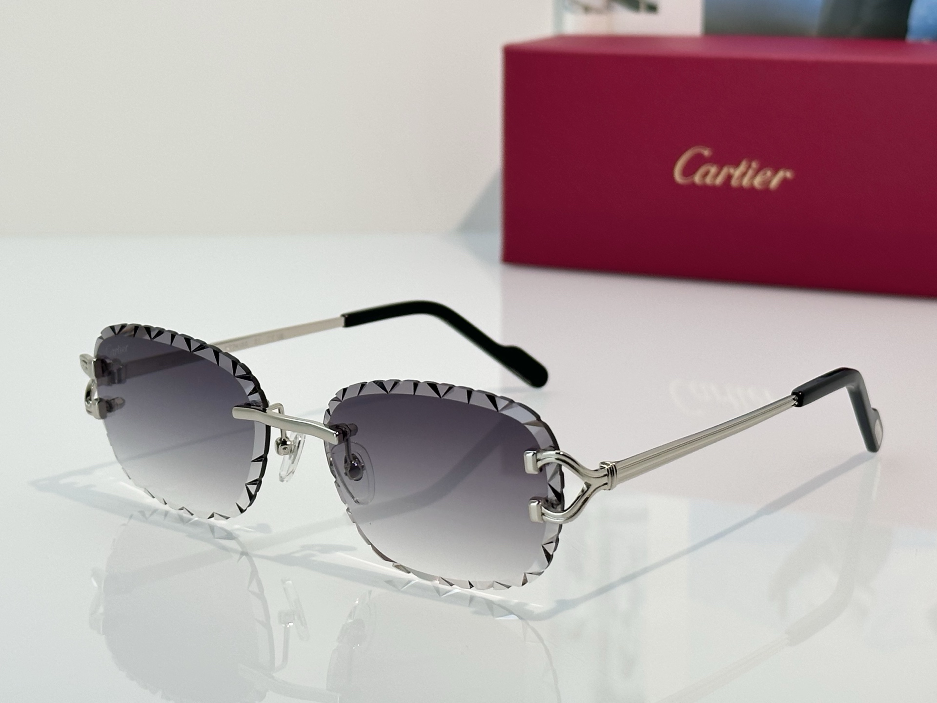 Designer Sunglasses CT7413S
