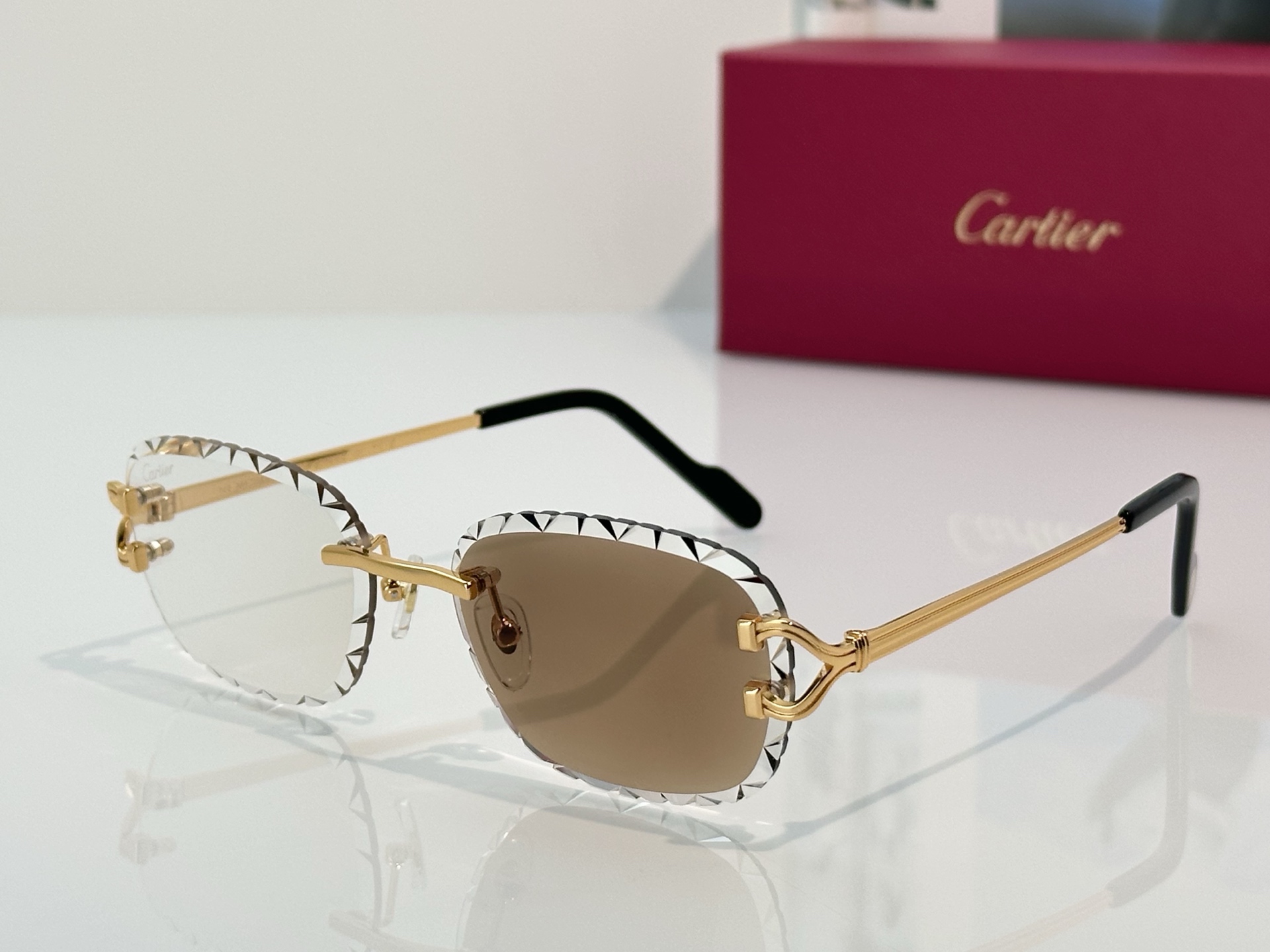 Designer Sunglasses CT7413S