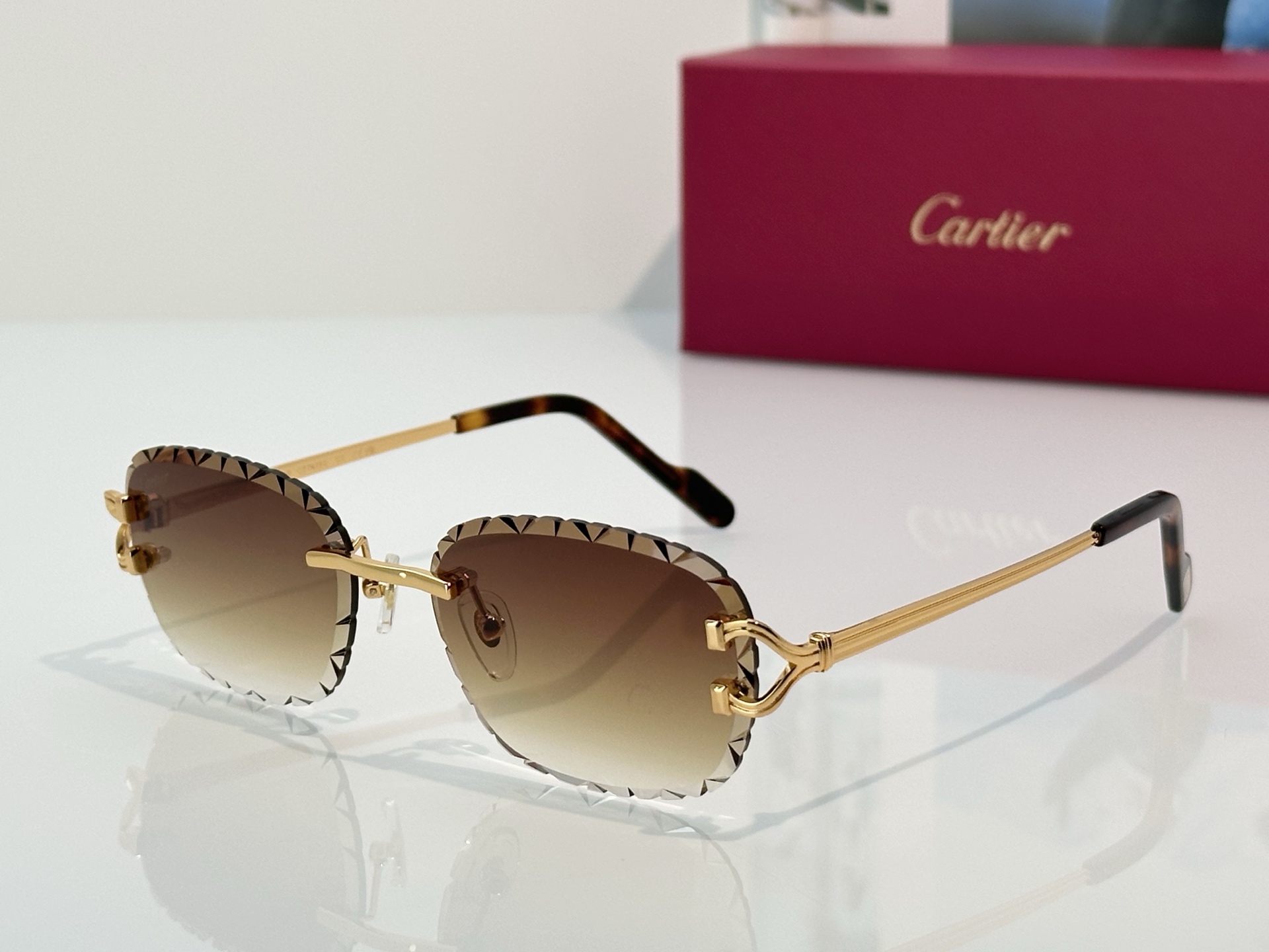 Designer Sunglasses CT7413S